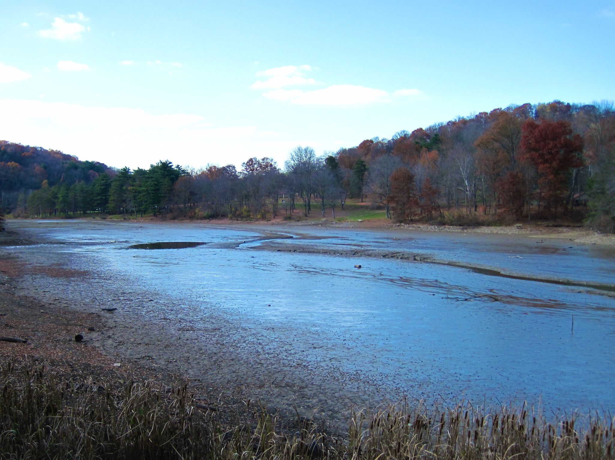Partially drained lake with muddy banks, surrounded by autumn trees under a bright sky. - North Park Lake loop via Lake Shore Drive