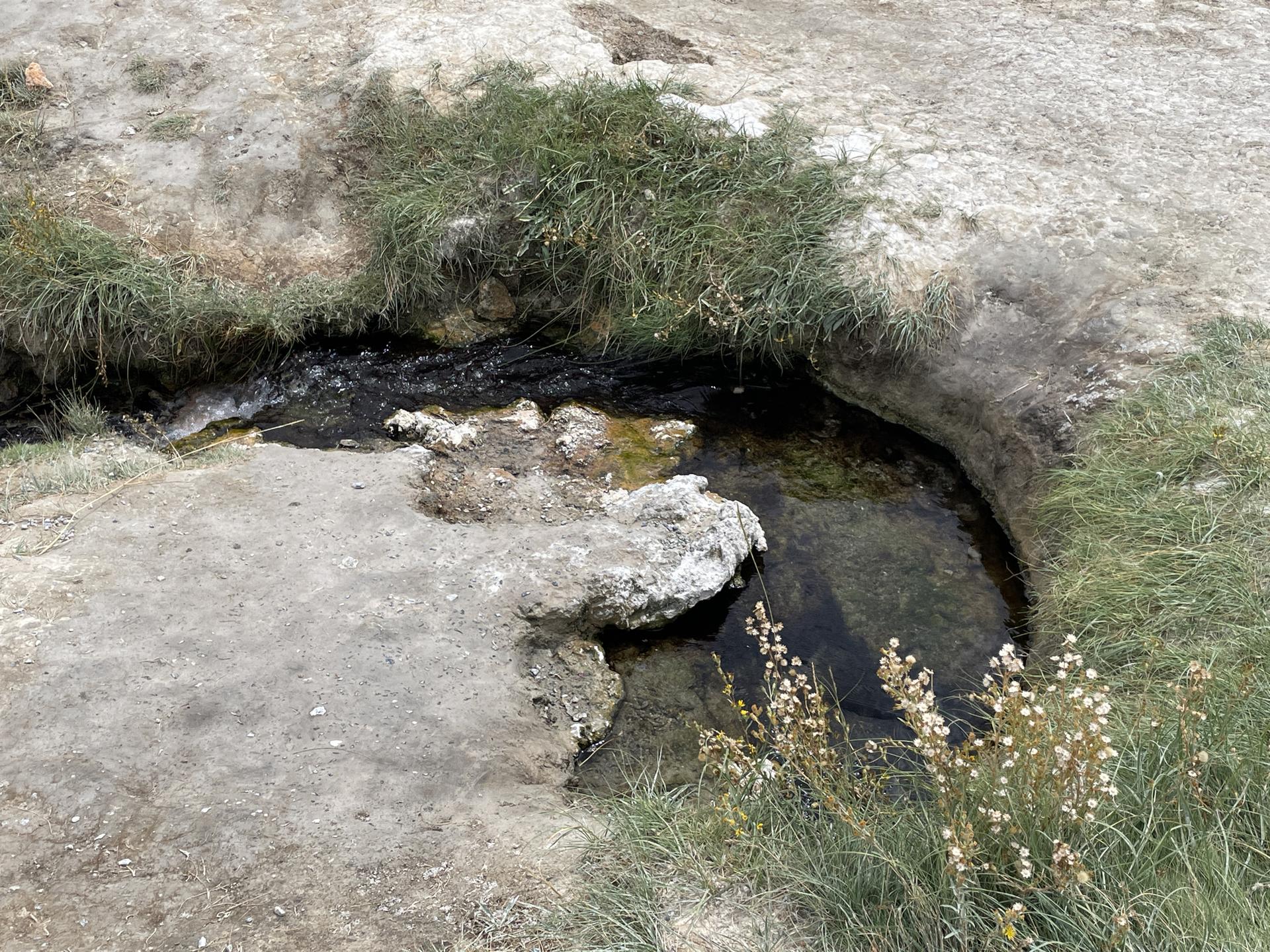 A small, clear stream flows through rocky, grassy terrain under bright light.