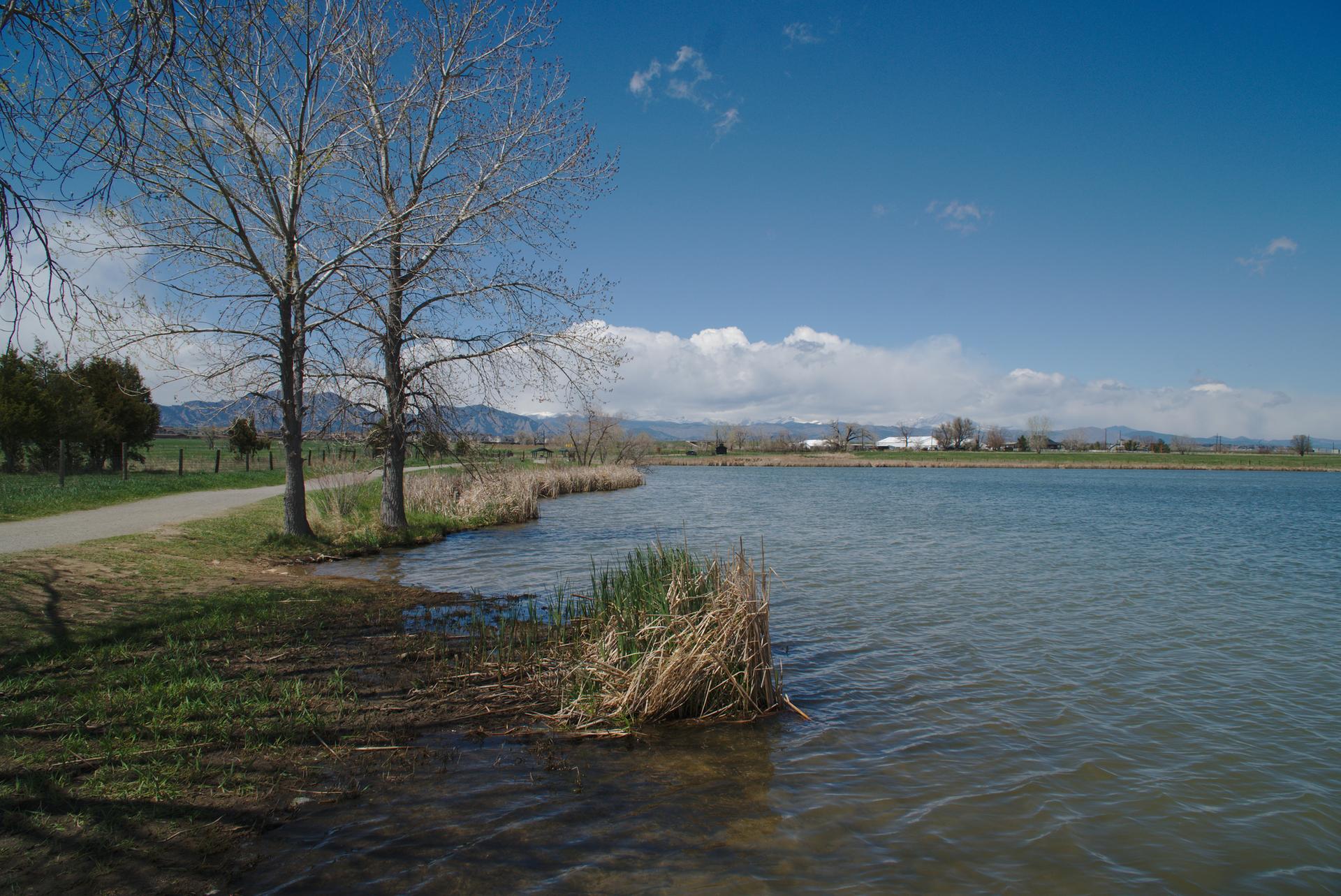 A calm lake with bare trees and a paved path under a bright blue sky.