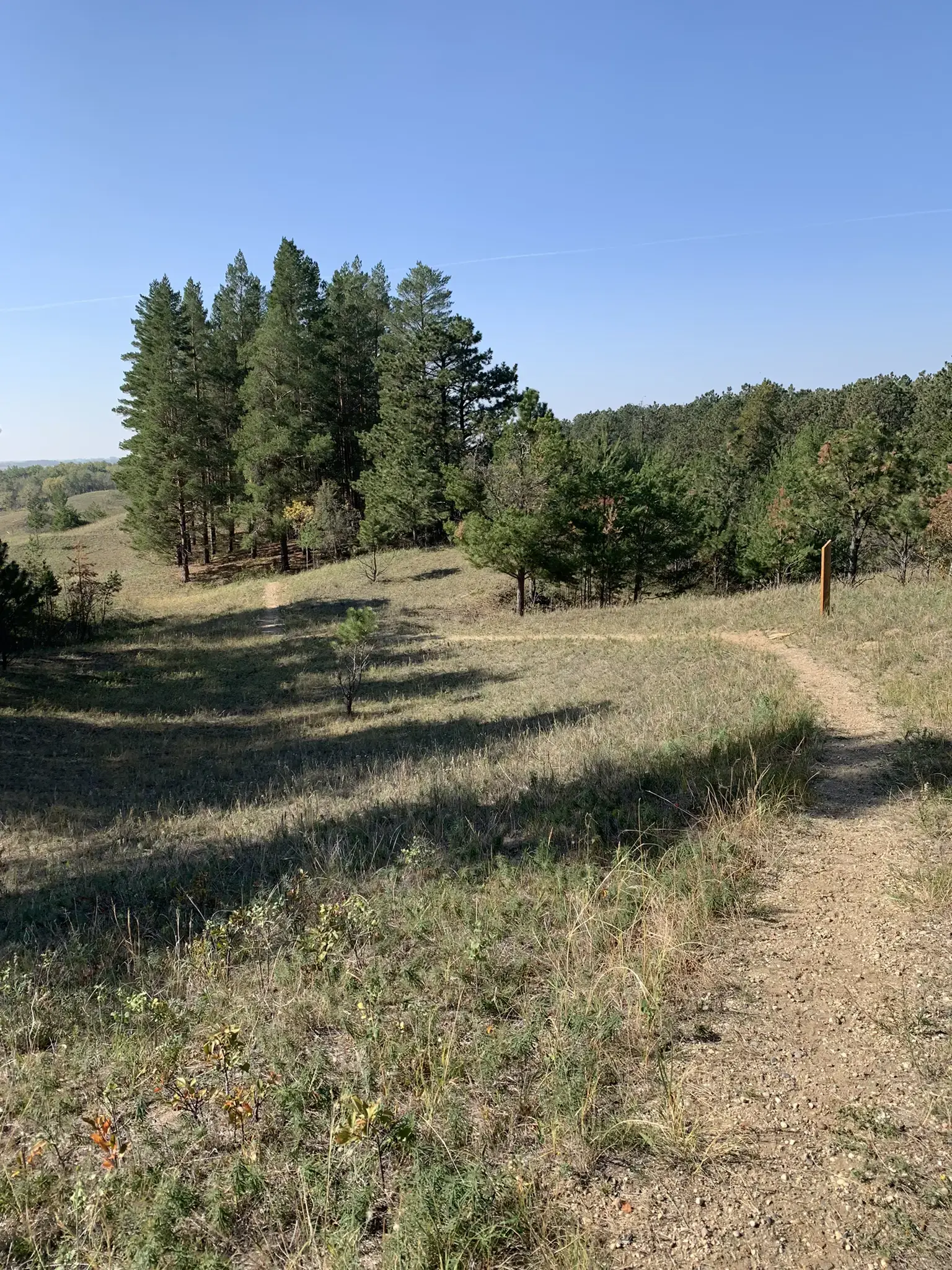 A winding dirt path through sunny, grassy hills with scattered trees.