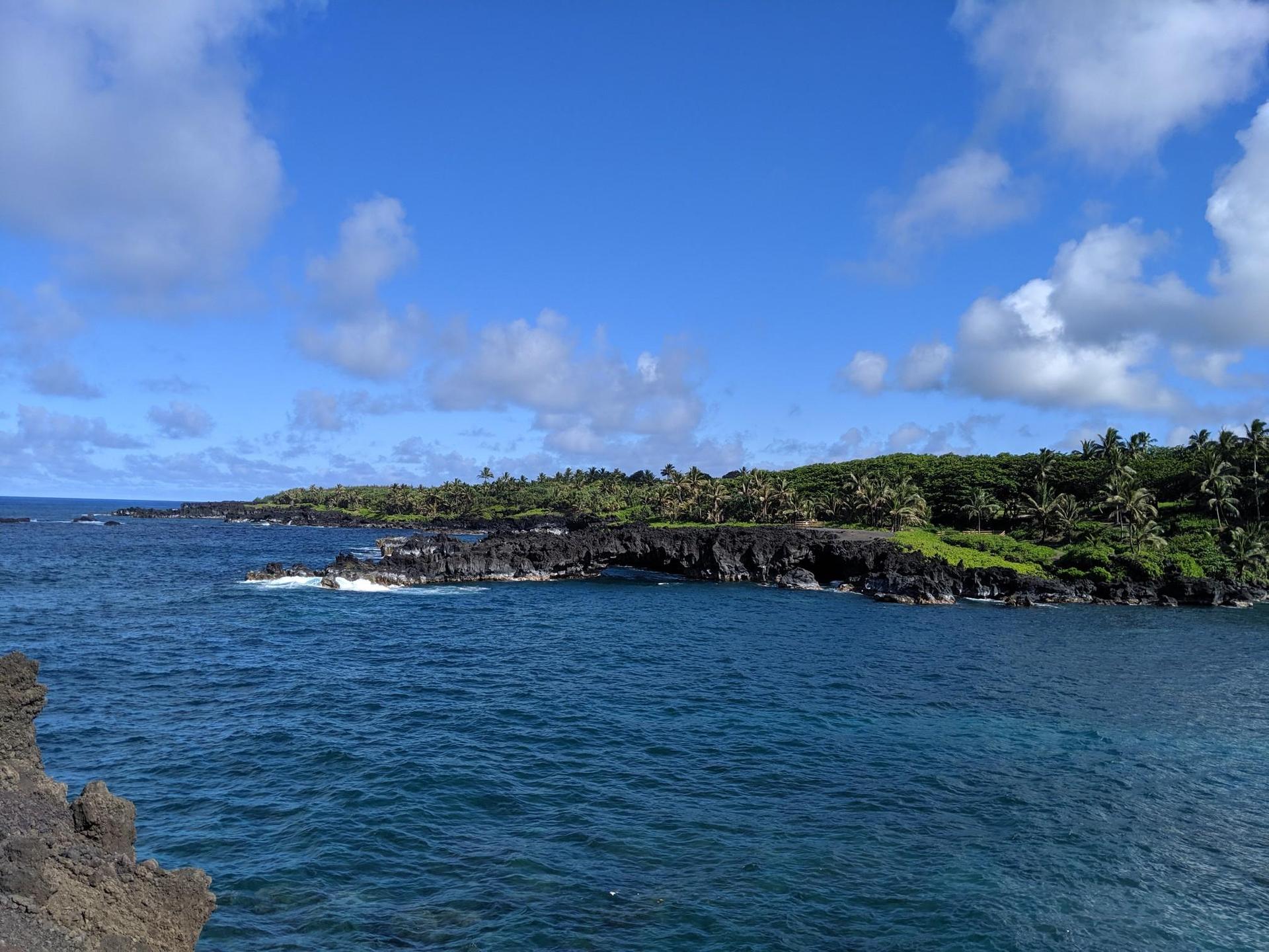 Blue ocean with rocky coastline and lush green trees under a bright sky.
