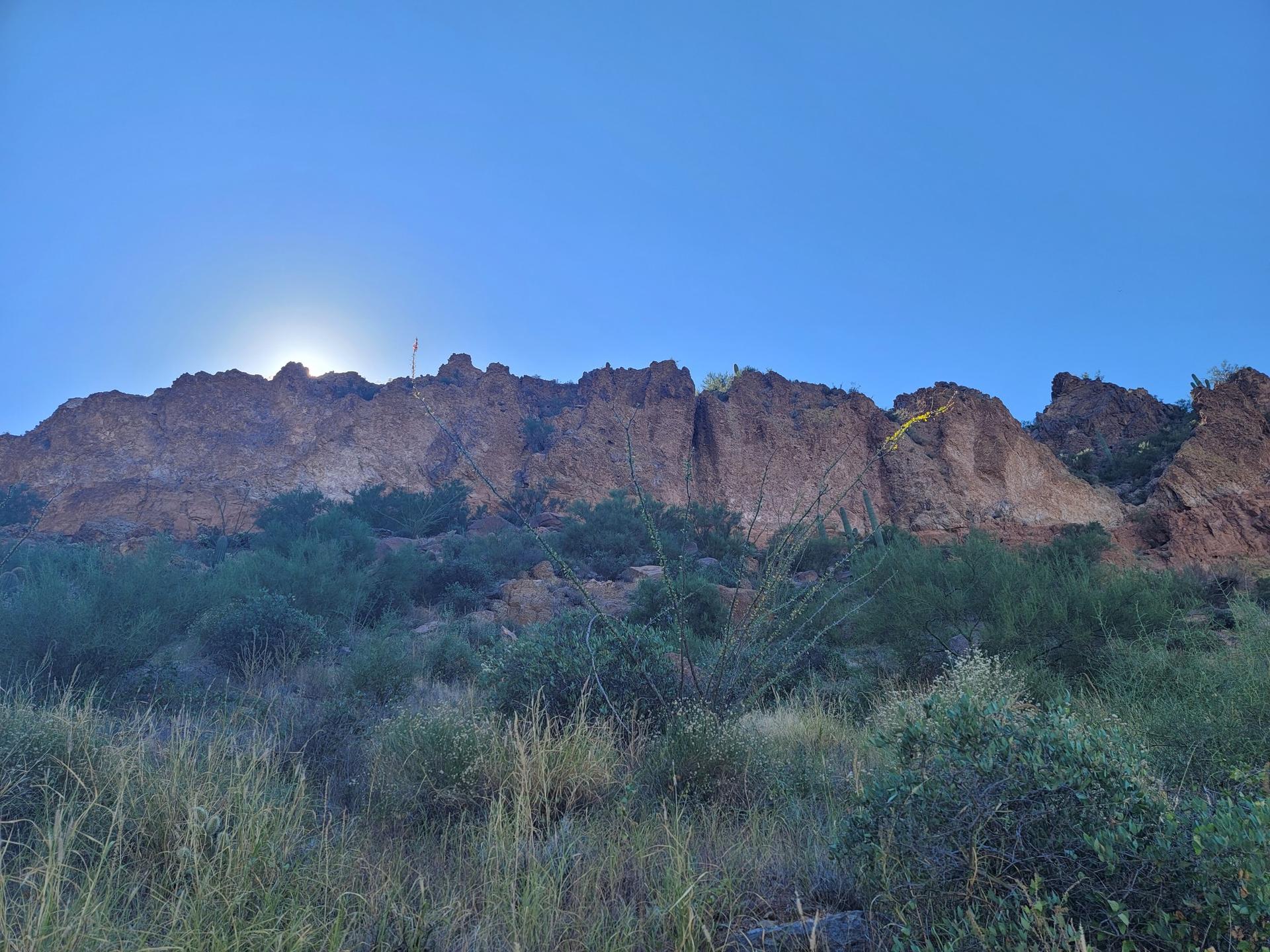 Sun peeking over a rugged mountain cliff with desert plants below.