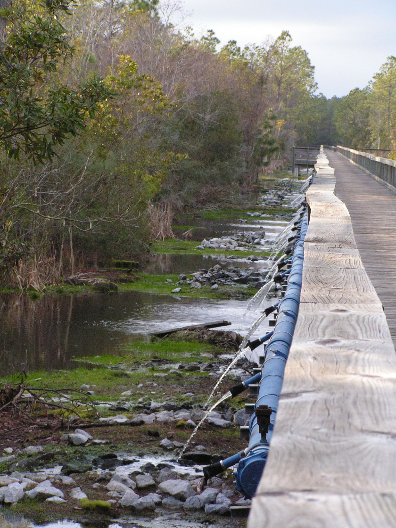 Boardwalk next to a stream with water spraying from blue pipes, wooded banks. - Bayou Marcus Birding Trail