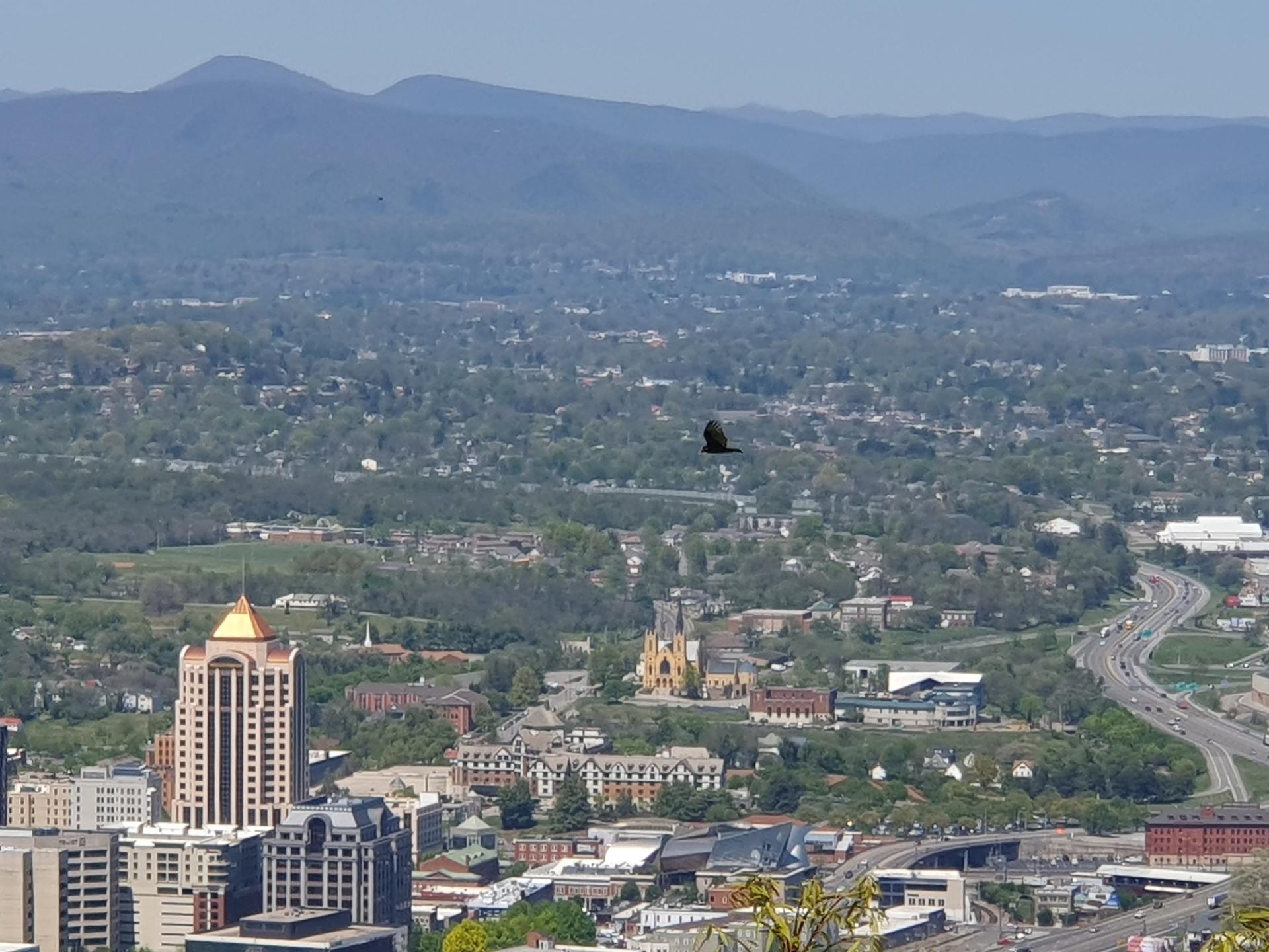 Cityscape with tall buildings, a bird flying, and distant mountains.