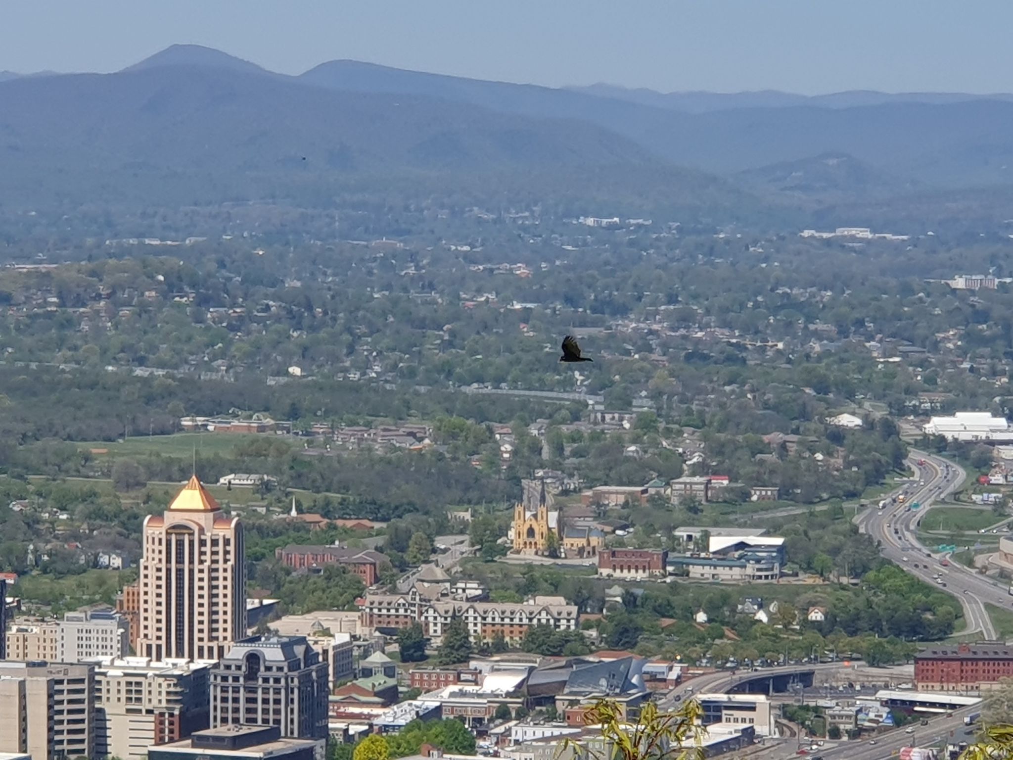 Cityscape with tall buildings, a bird flying, and distant mountains. - Mill Mountain Park Loop