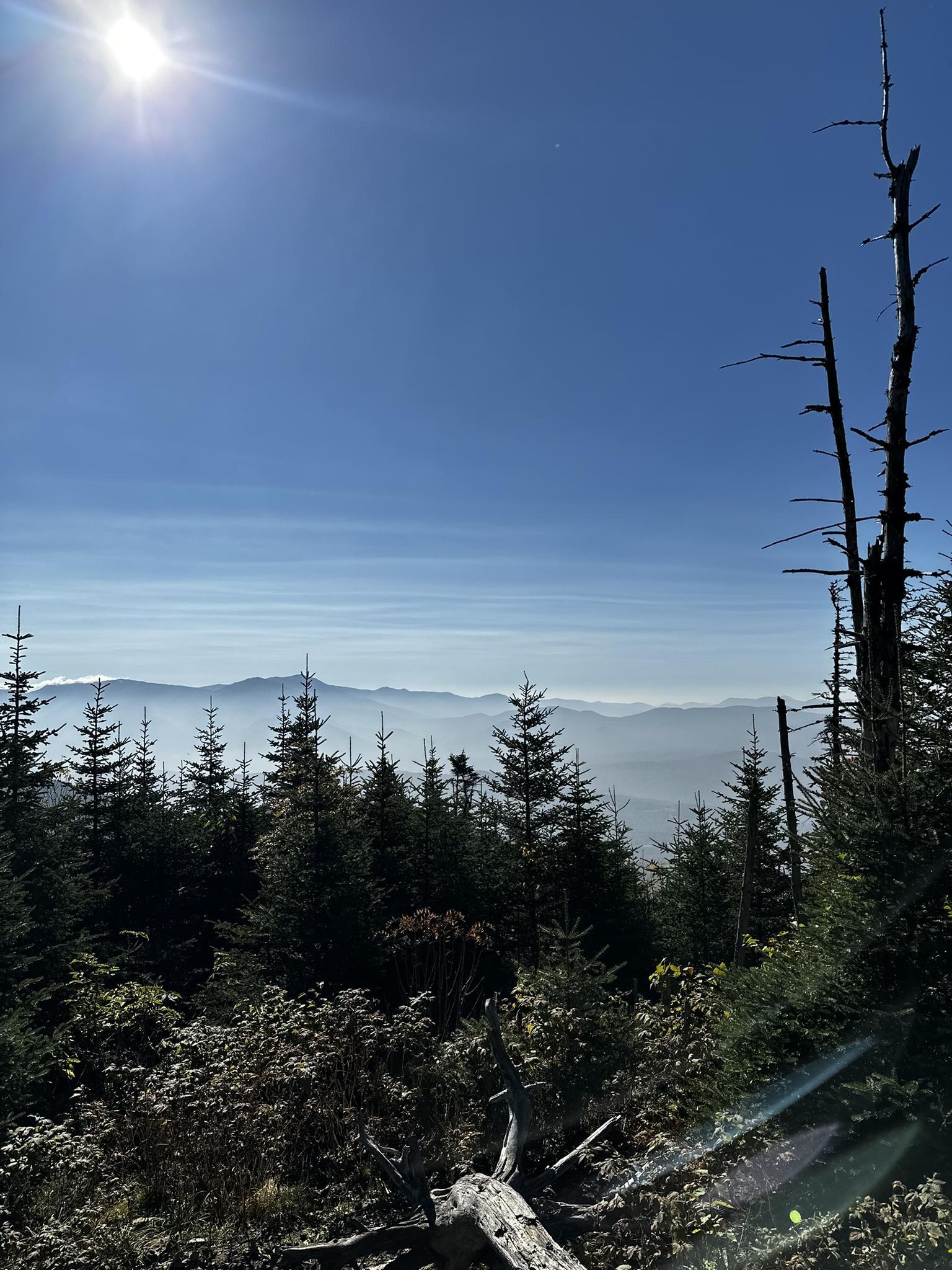 Sunny mountain view over hazy peaks with evergreen trees in foreground.
