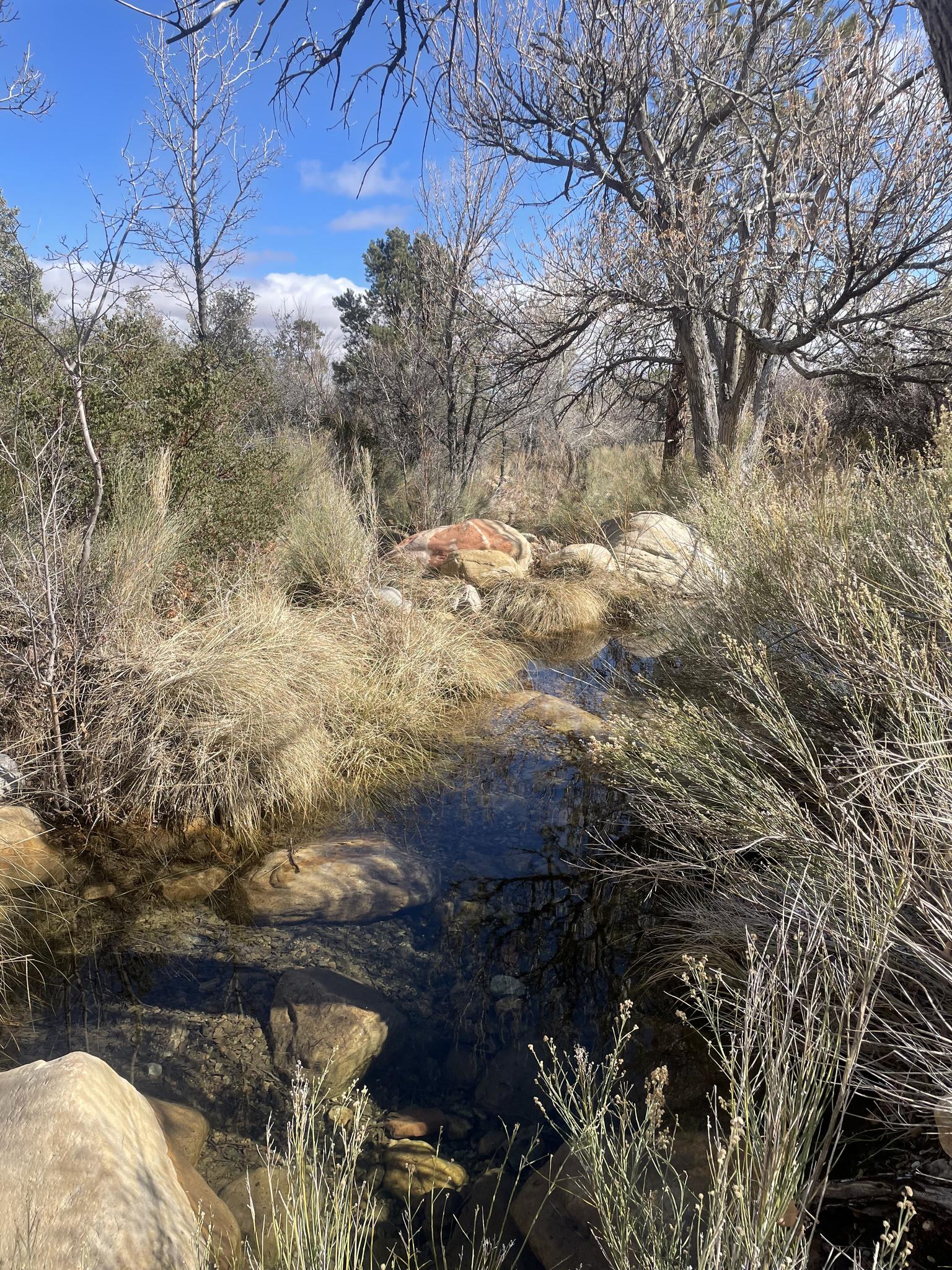 Small stream flowing through a rocky, brushy desert landscape.