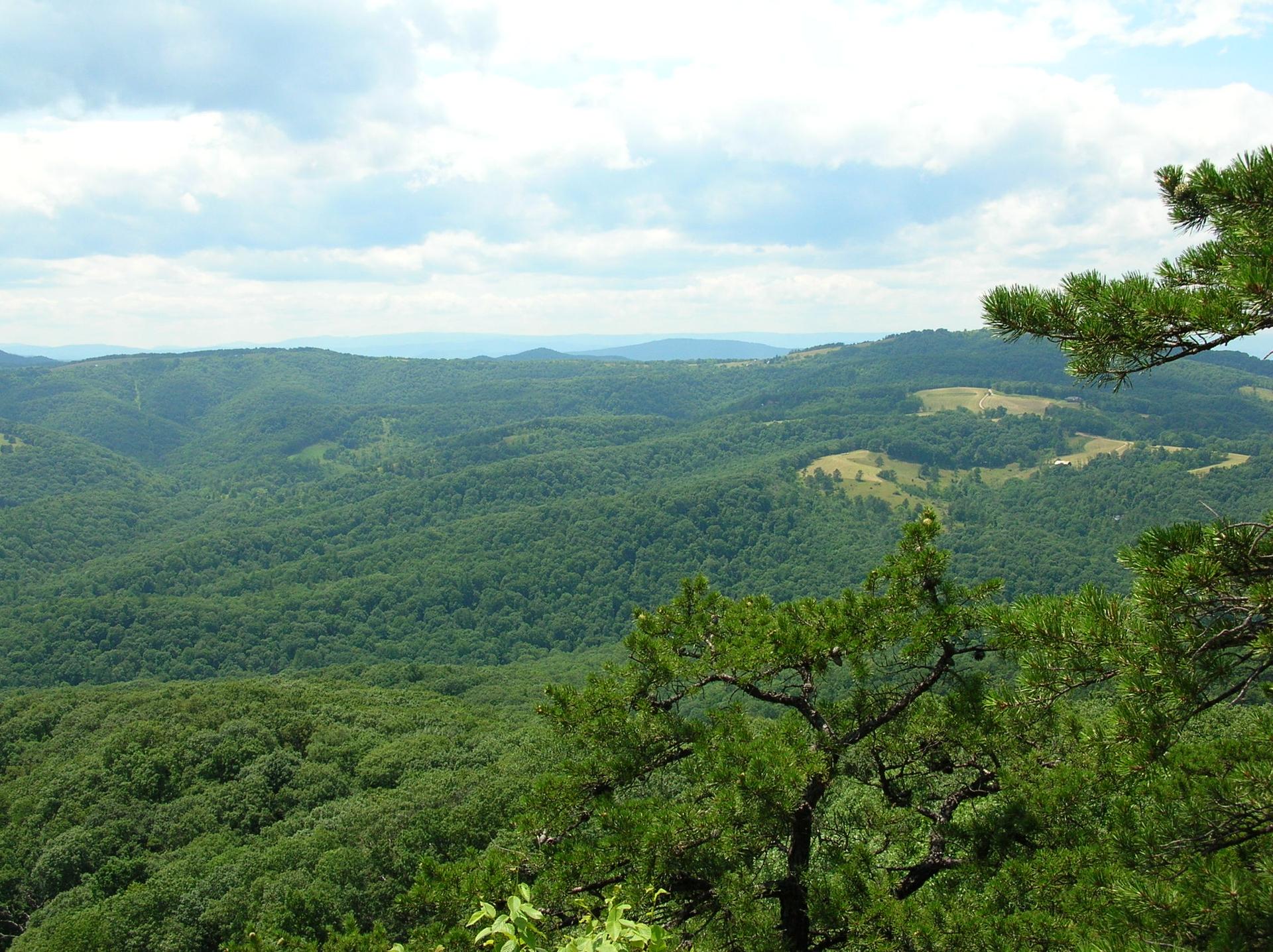 Vast green forested mountains and valleys under a partly cloudy sky.