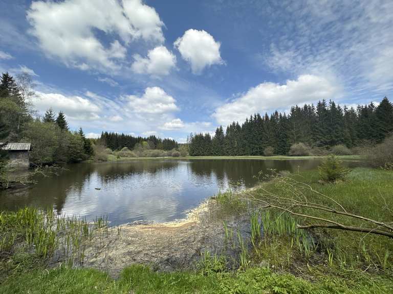 Singletrail Schwarzer Teich [S0] MountainbikeTouren komoot