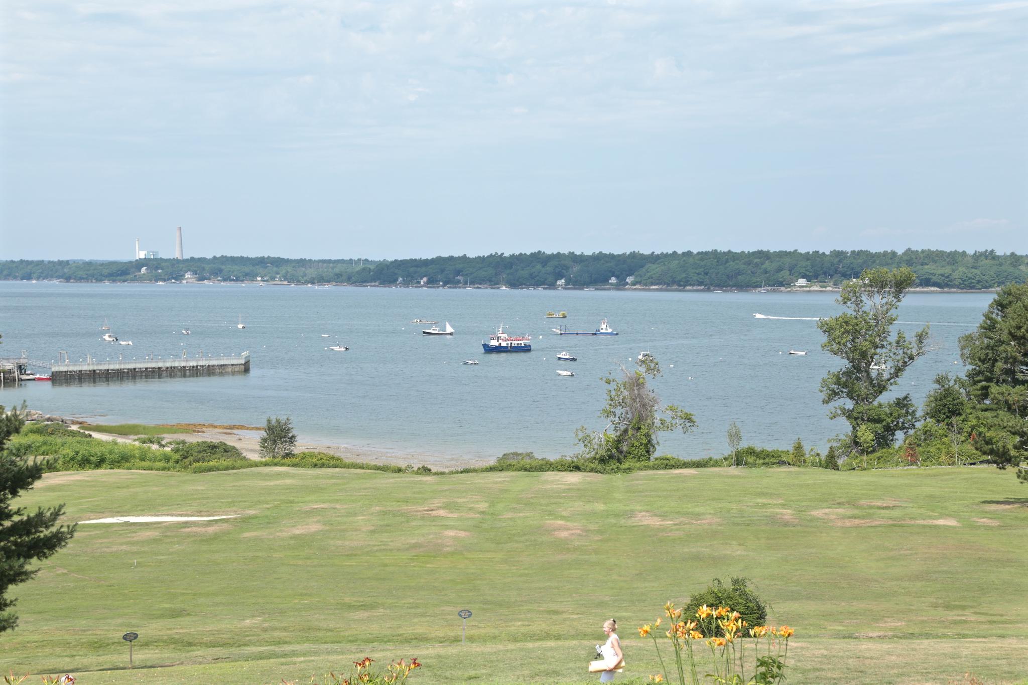 Boats on a bay with a pier, distant forested shore, and green field.