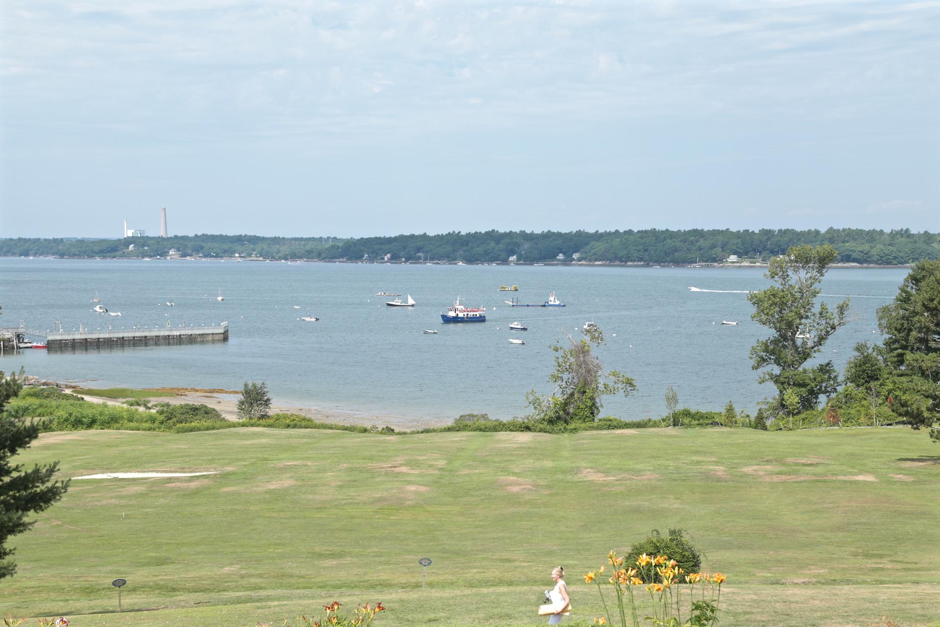 Boats on a bay with a pier, distant forested shore, and green field.