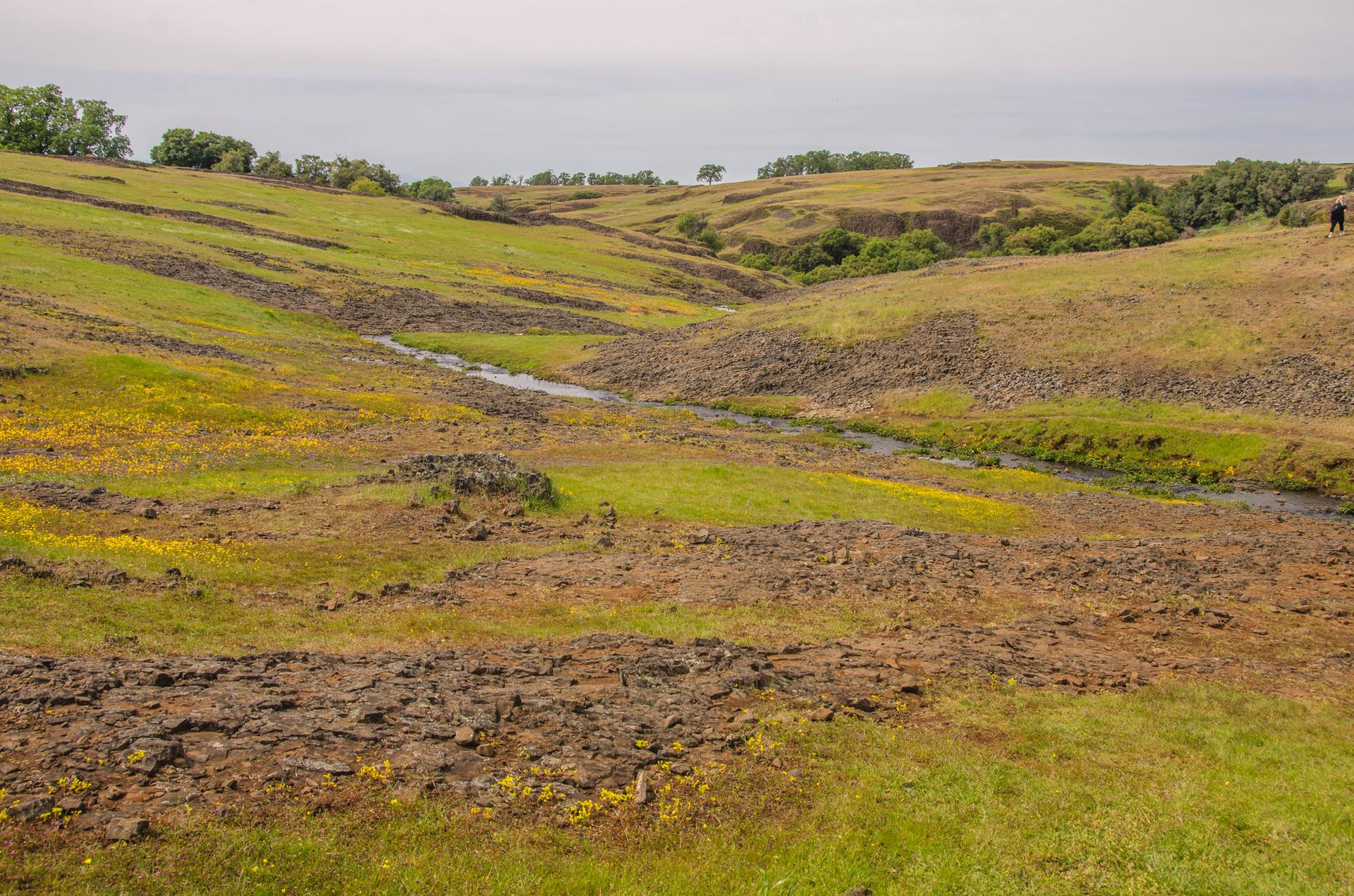 Rolling green and brown hills with a small stream under an overcast sky.