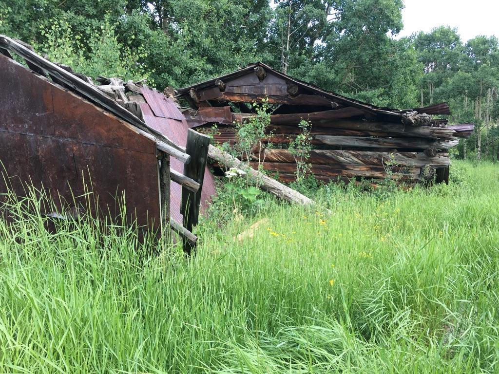 Two dilapidated wooden structures stand in tall green grass under an overcast sky.