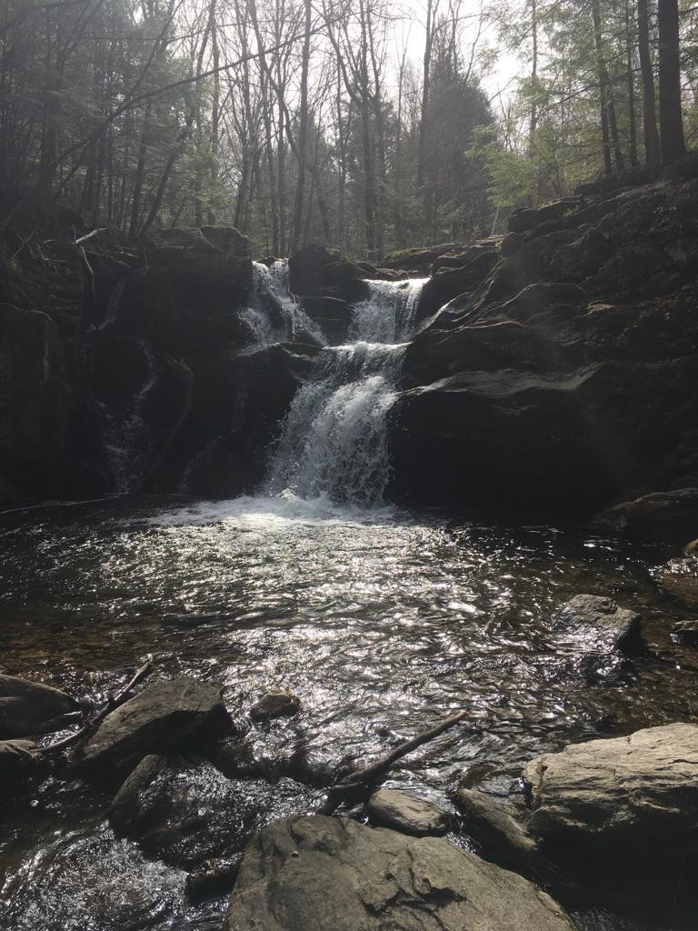 Cascading waterfall flowing over dark rocks in a shaded forest.