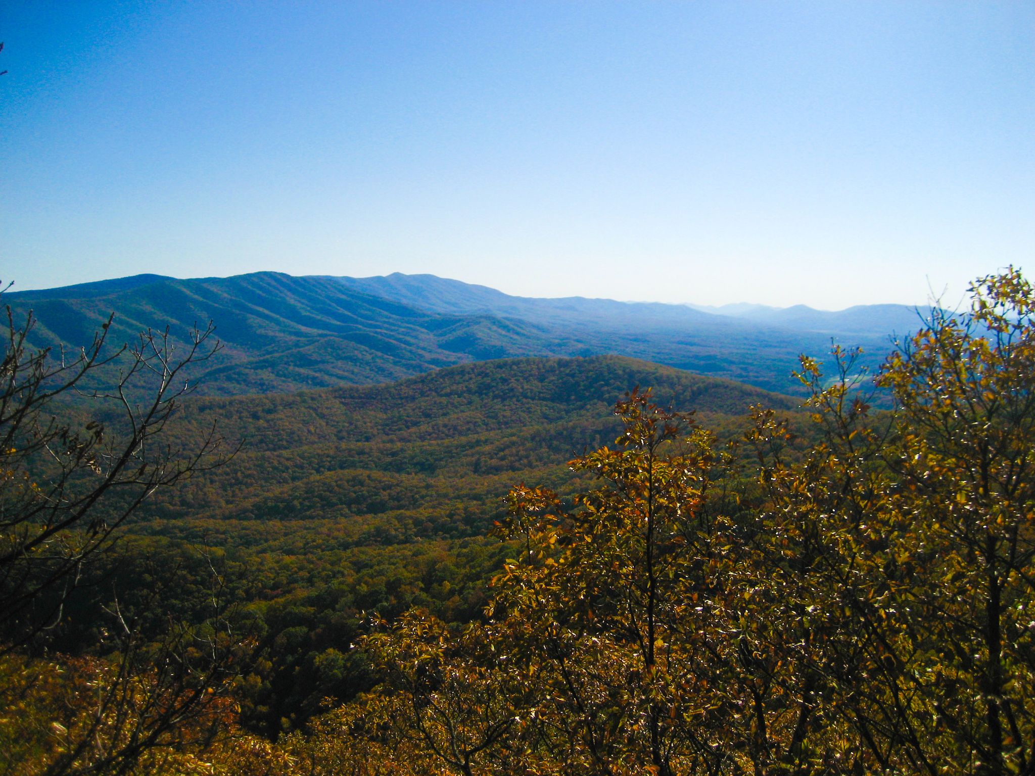 Expansive mountain landscape with green and golden trees under clear sky. - Hankey Mountain via Dowells Draft Trail