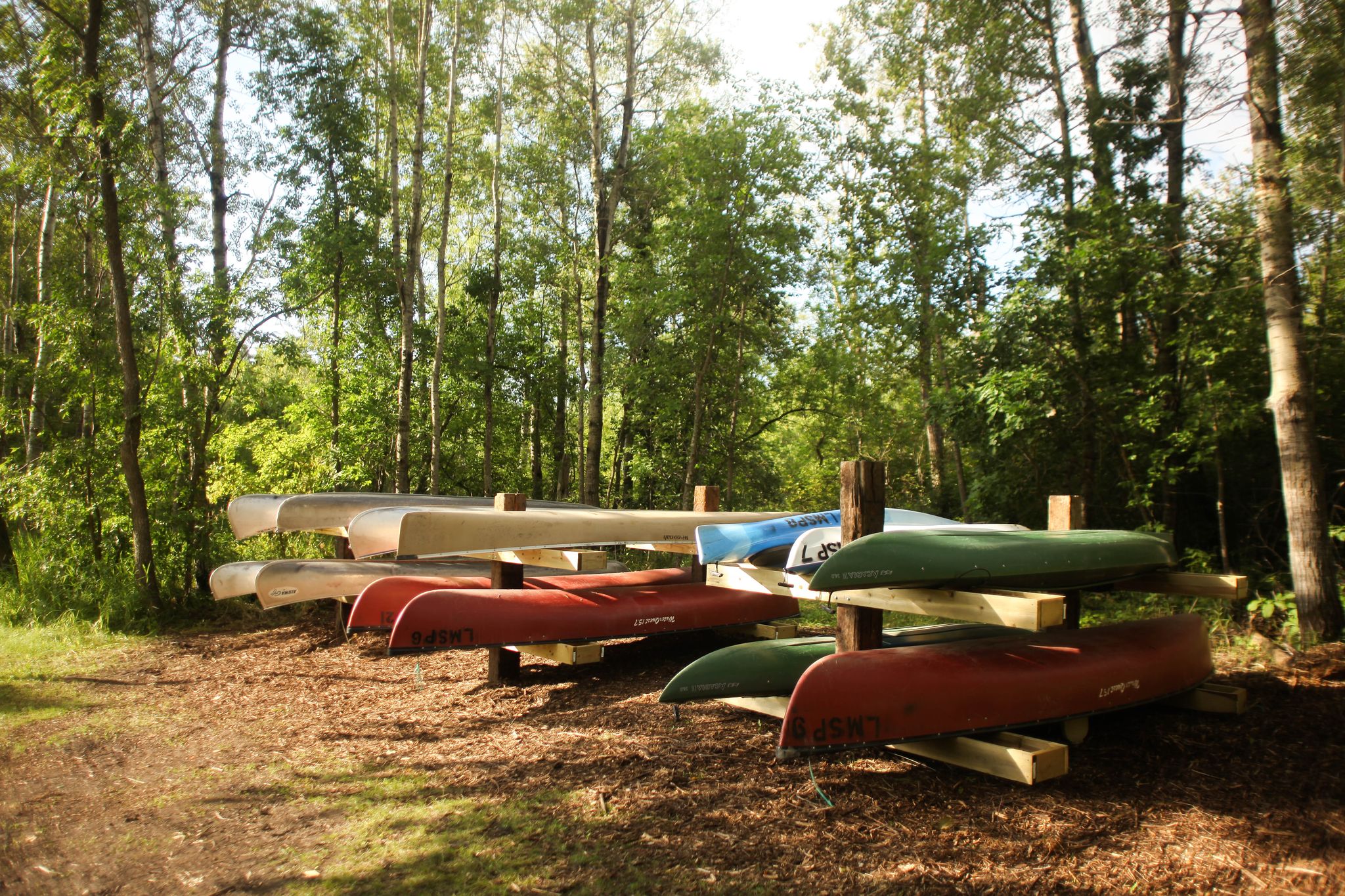 Canoes stored on wooden racks in a sunny, green forest. - Lake Metigoshe Bike Path