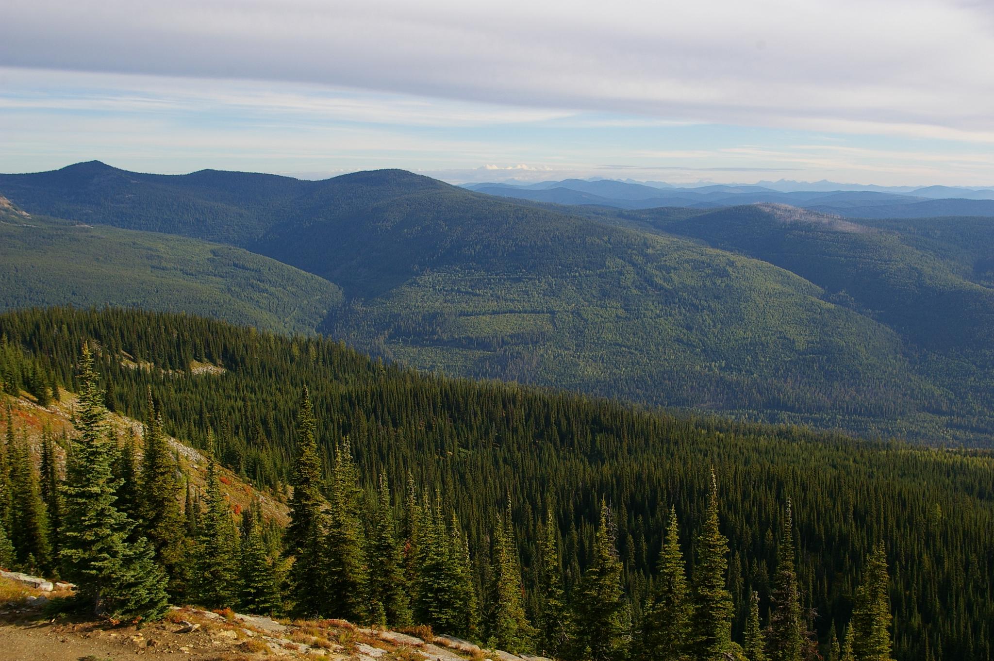 Expansive view of forested mountains and valleys under a bright, cloudy sky.