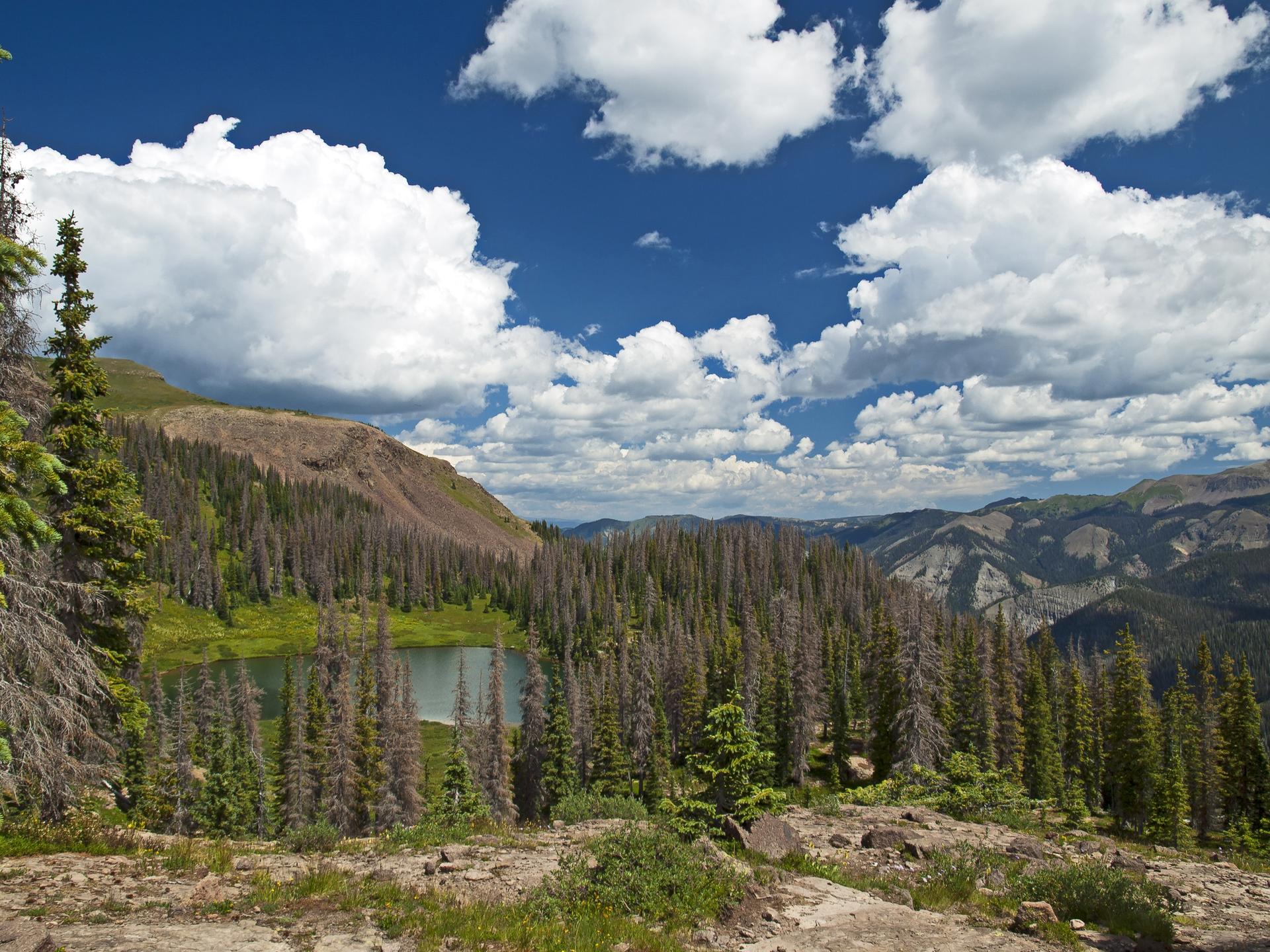 A serene mountain lake surrounded by dense forest under a cloudy blue sky.