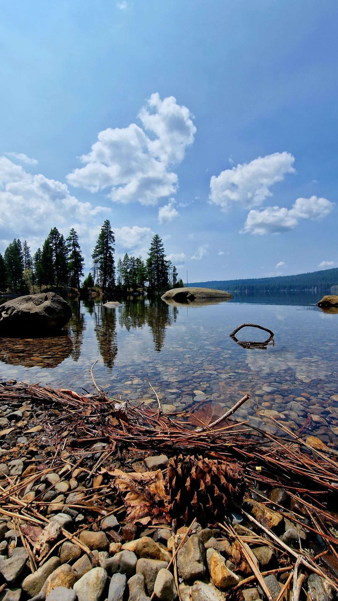 Pinecone and pebbles on the shore of a clear lake under a blue sky. - Peninsula, Fox Run, Huckleberry Loop, and Miles Standish Trails Loop