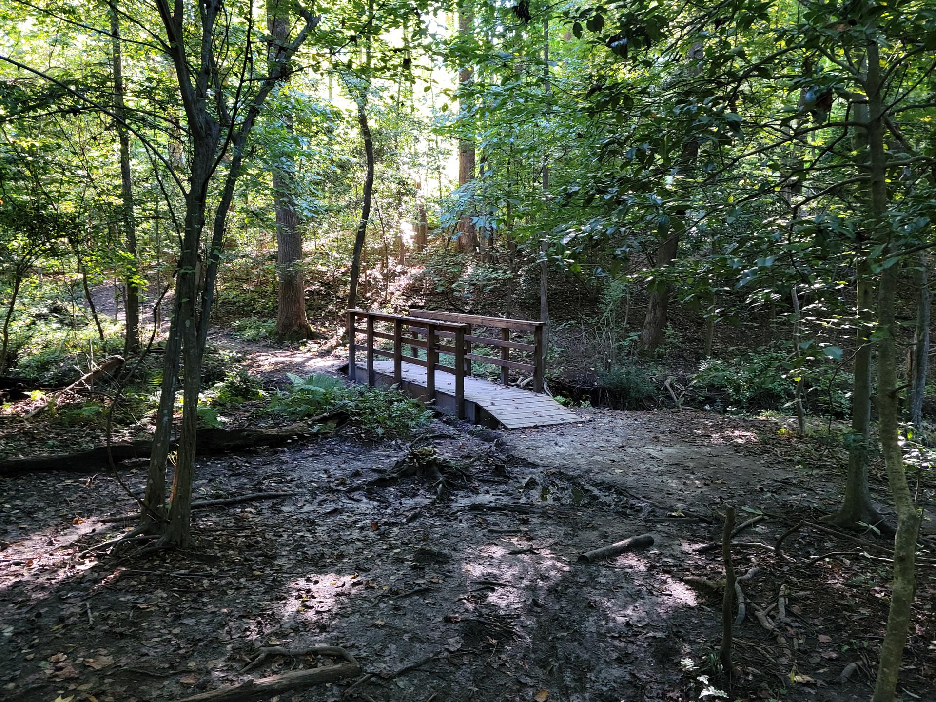 A small wooden footbridge crosses a shaded dirt path in a green forest.