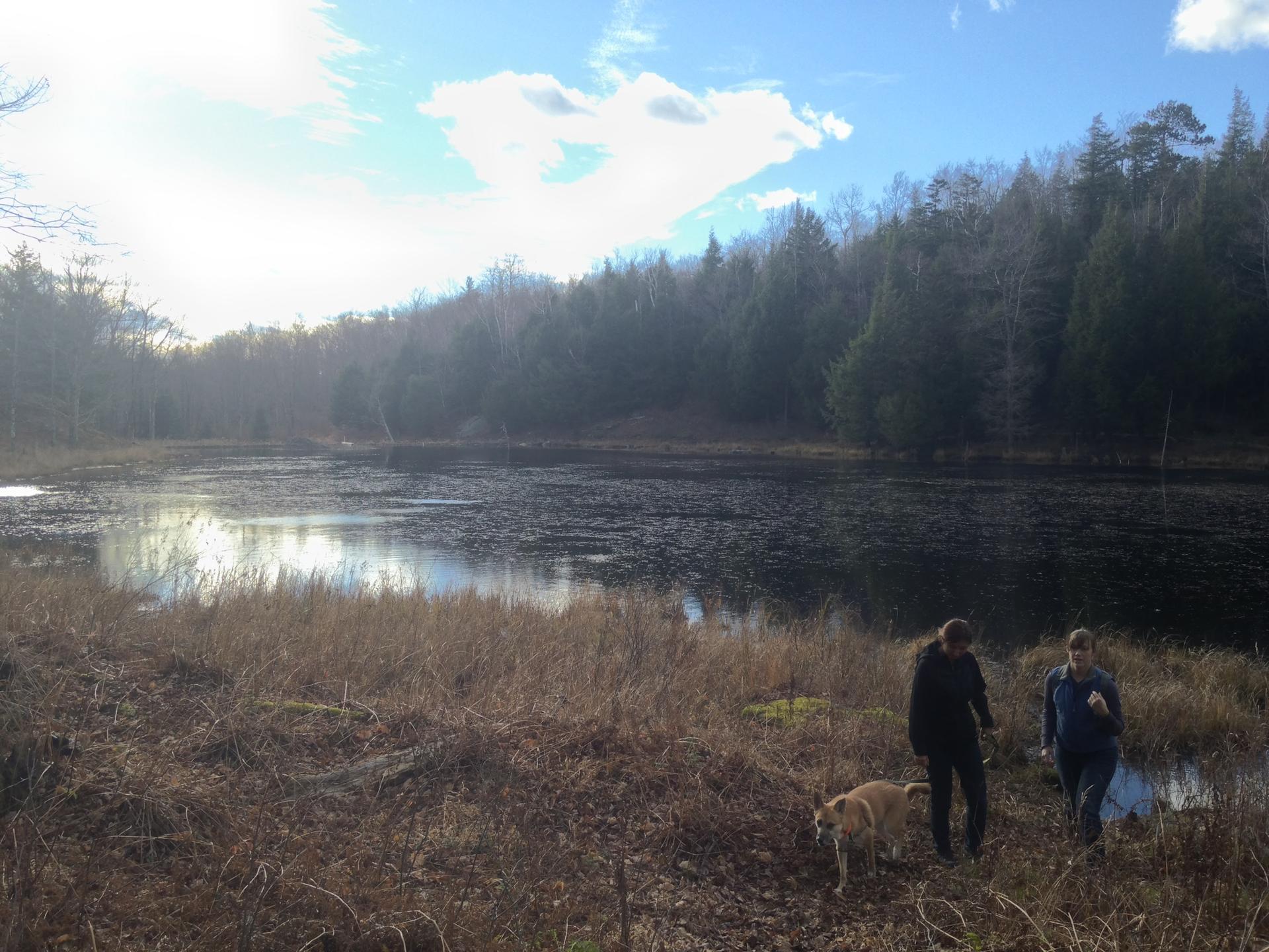 Two people and a dog walk by a sunny lake surrounded by trees.