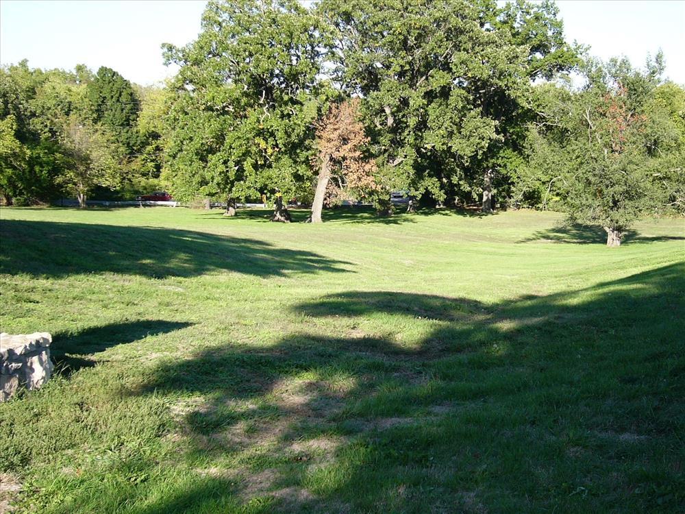 Sunny green field with large trees and long shadows.