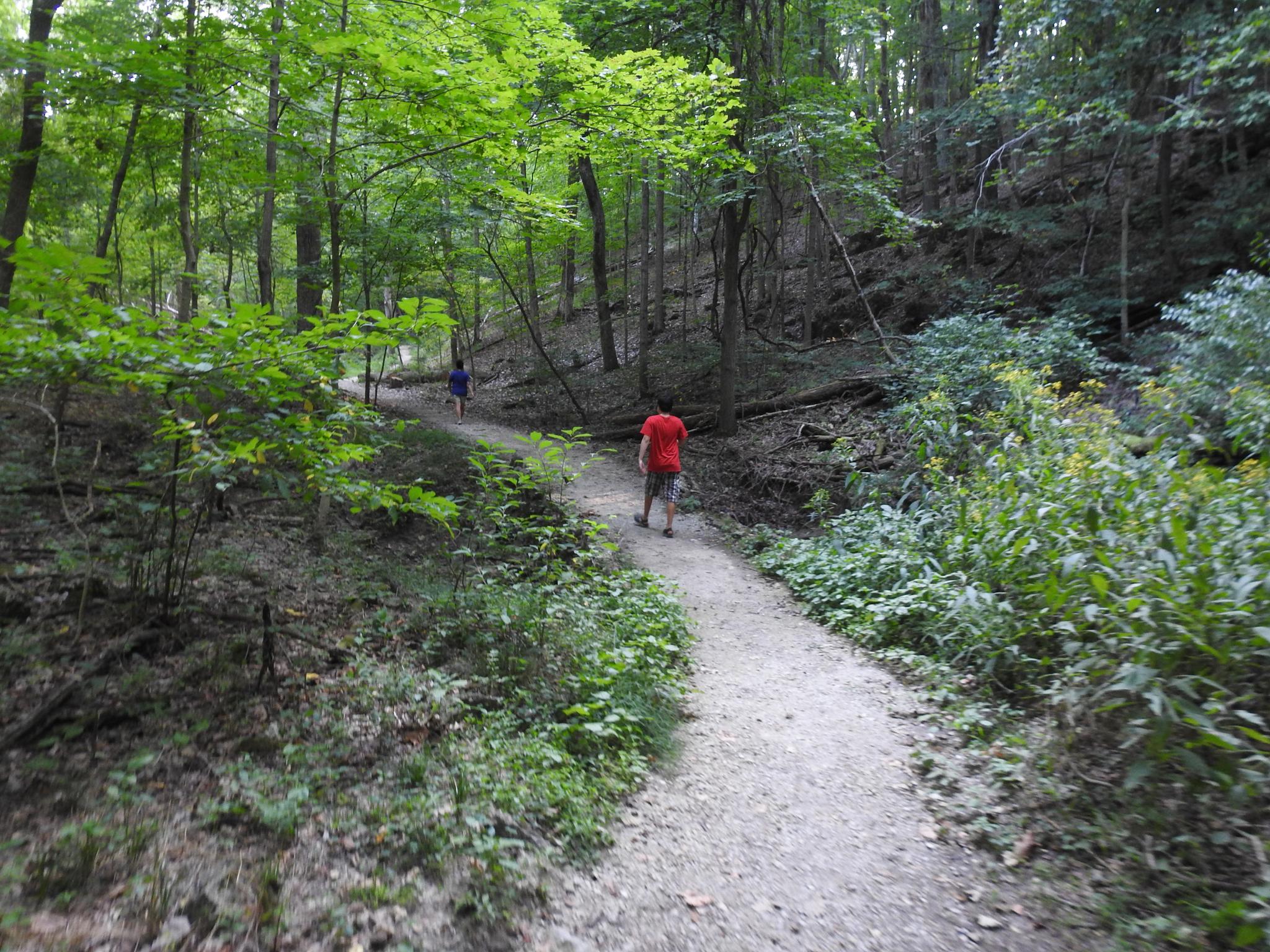 Two people walk on a winding dirt path through a lush green forest.
