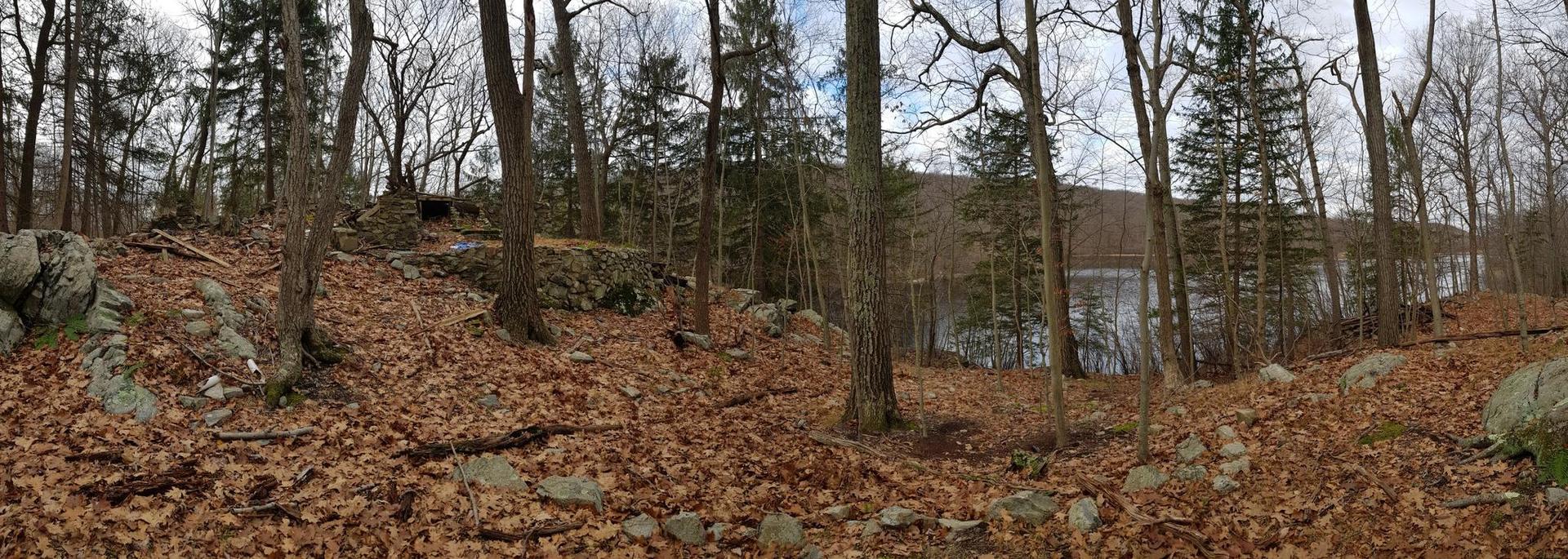 Wooded hillside with bare trees, rocks, fallen leaves, and a lake beyond.