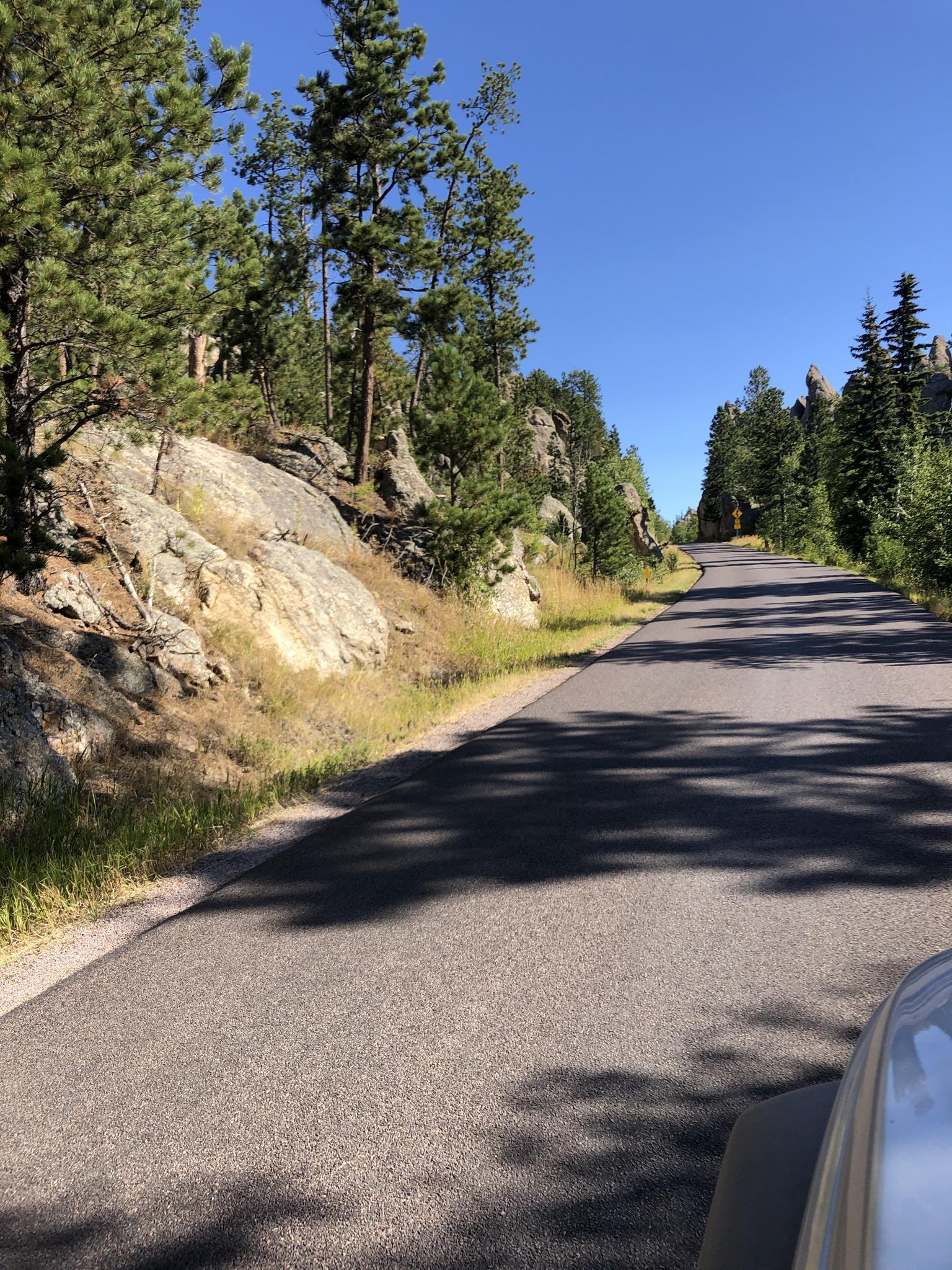 A paved road winds through rocky terrain and pine trees on a sunny day.