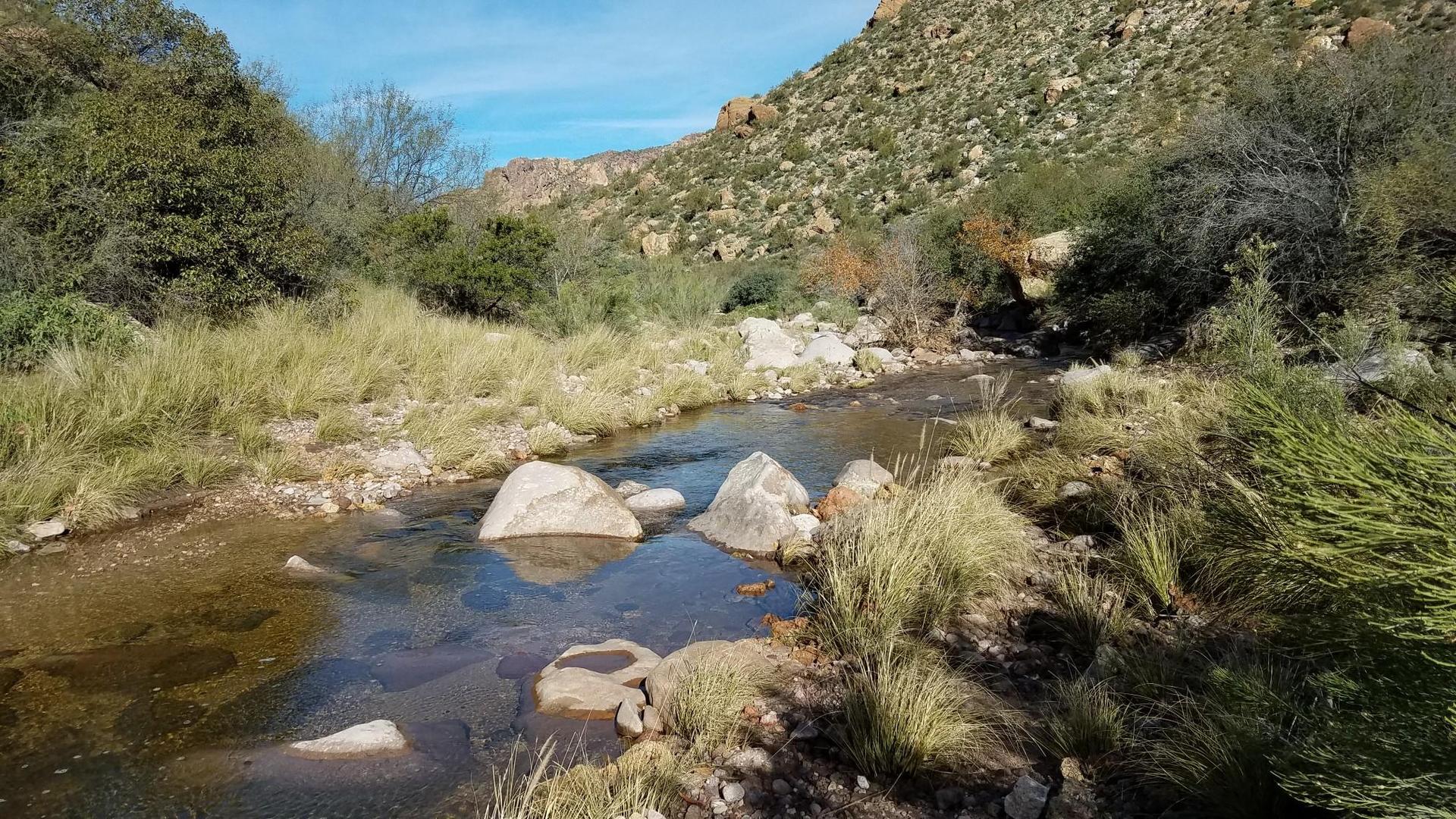 Clear stream flowing through a rocky, grassy landscape under bright sun.