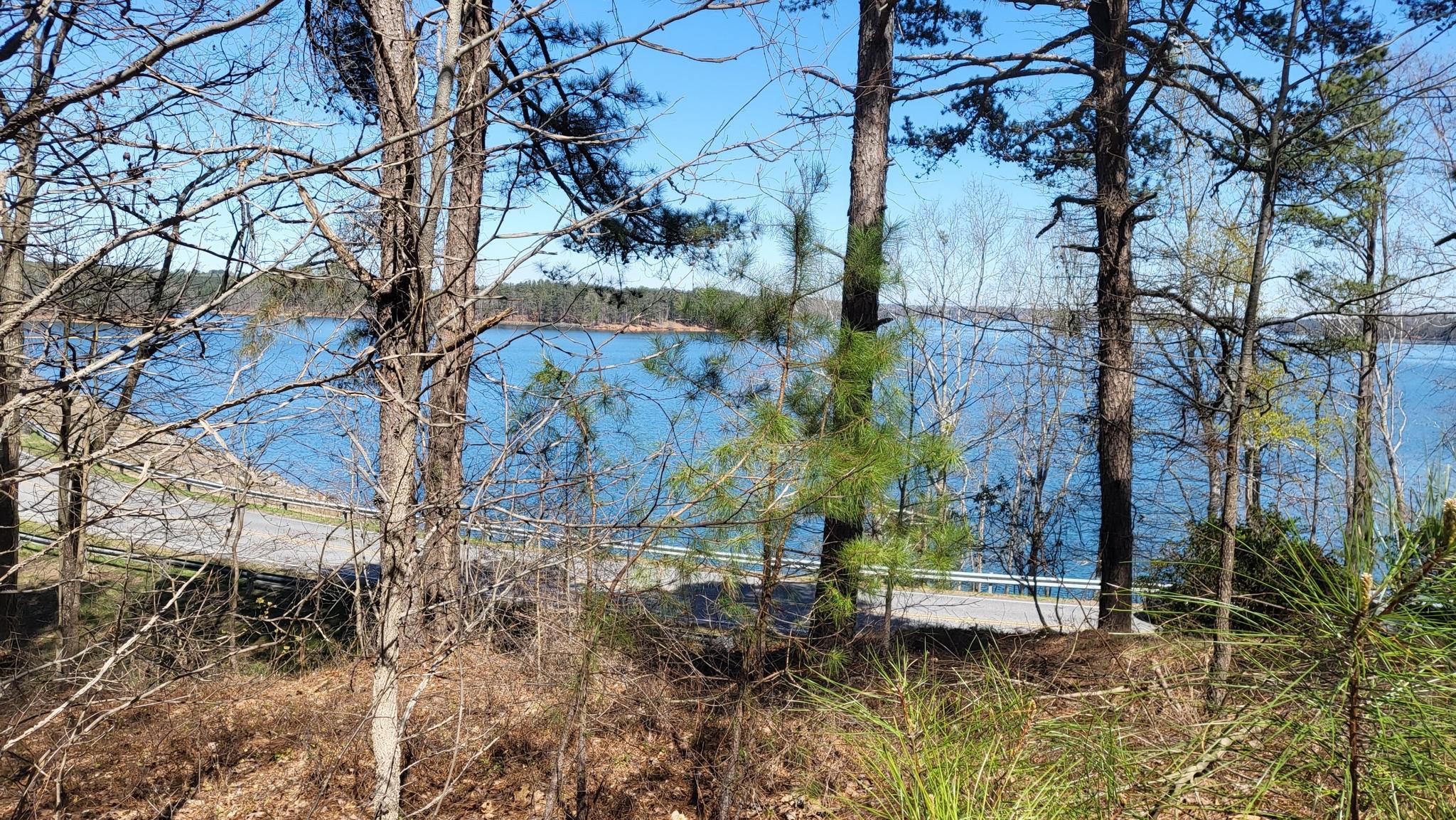 Blue lake seen through bare and evergreen trees on a sunny day.