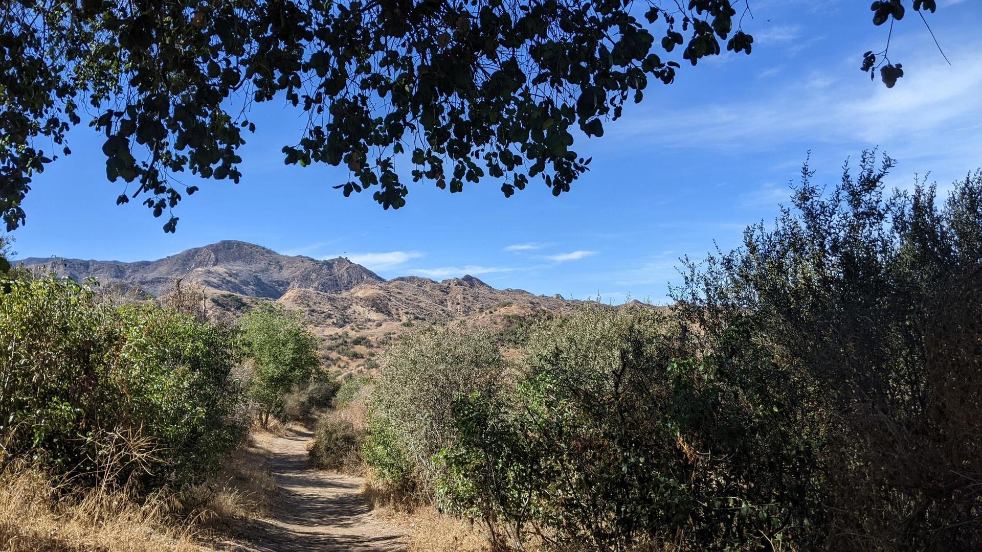 Dirt path winding through green bushes towards dry mountains under a blue sky.