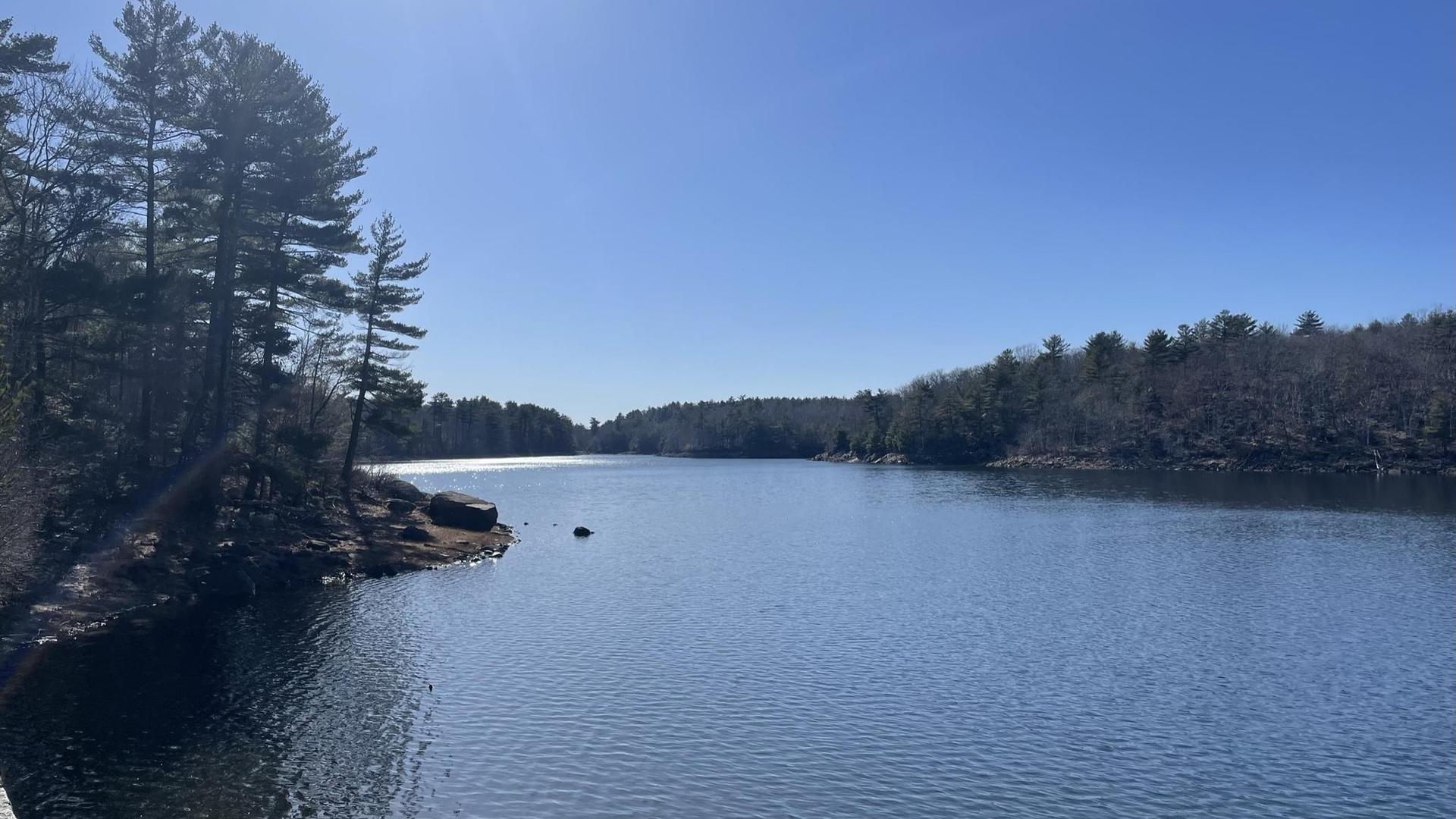 Wide lake with forested shores under a bright, clear blue sky.