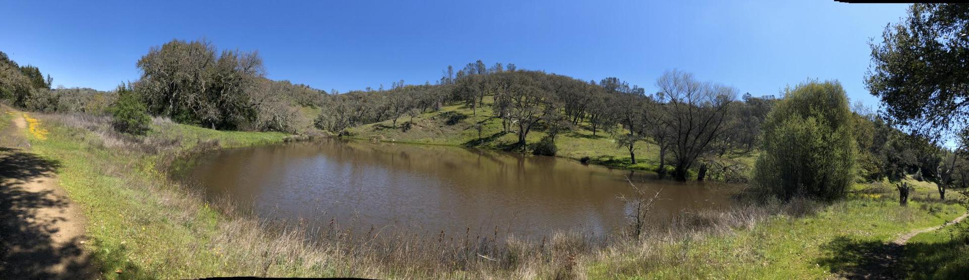 A panoramic view of a calm pond nestled among green hills and trees.