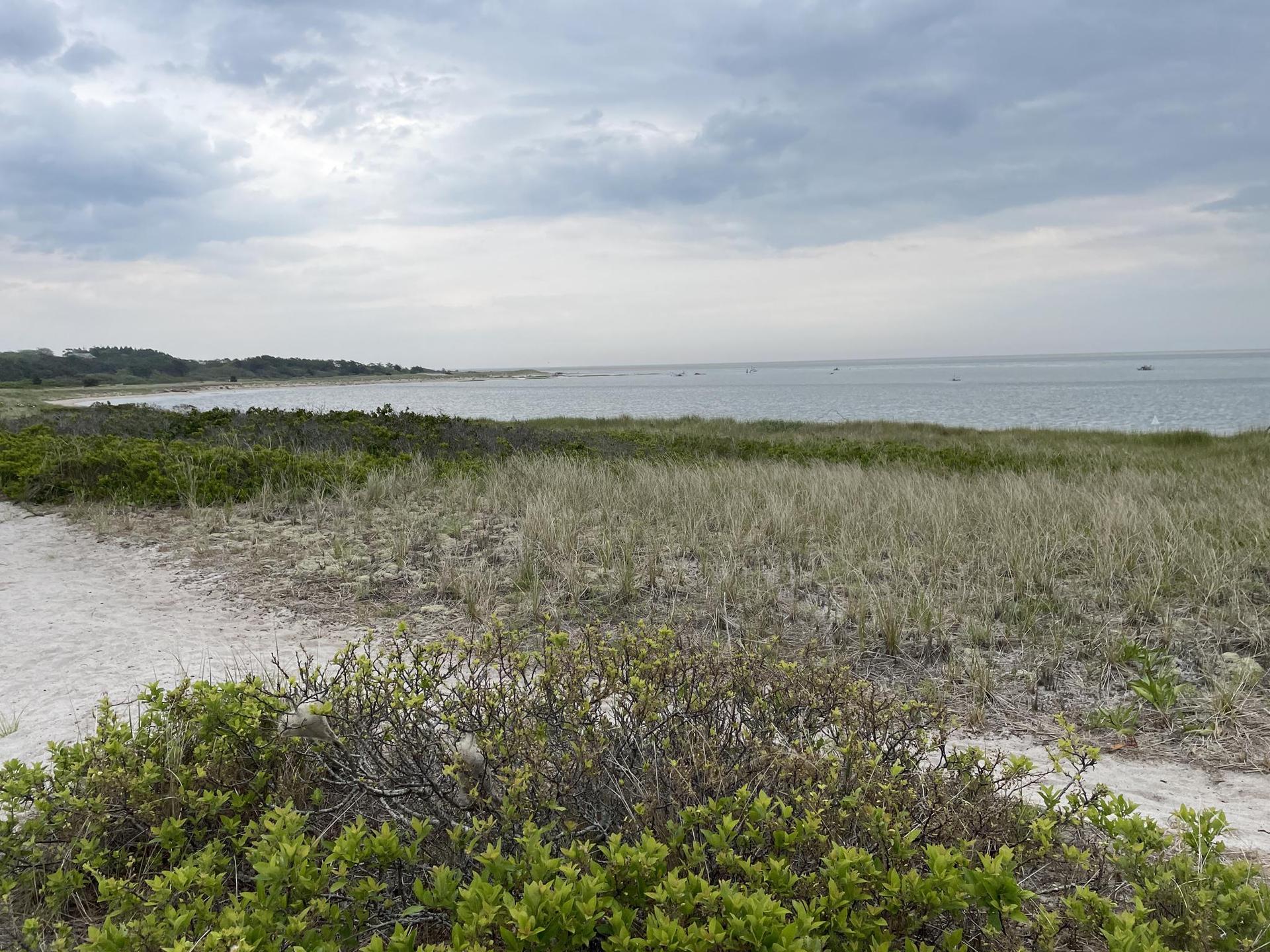 Overcast day over a calm bay, with sandy foreground and green marsh.