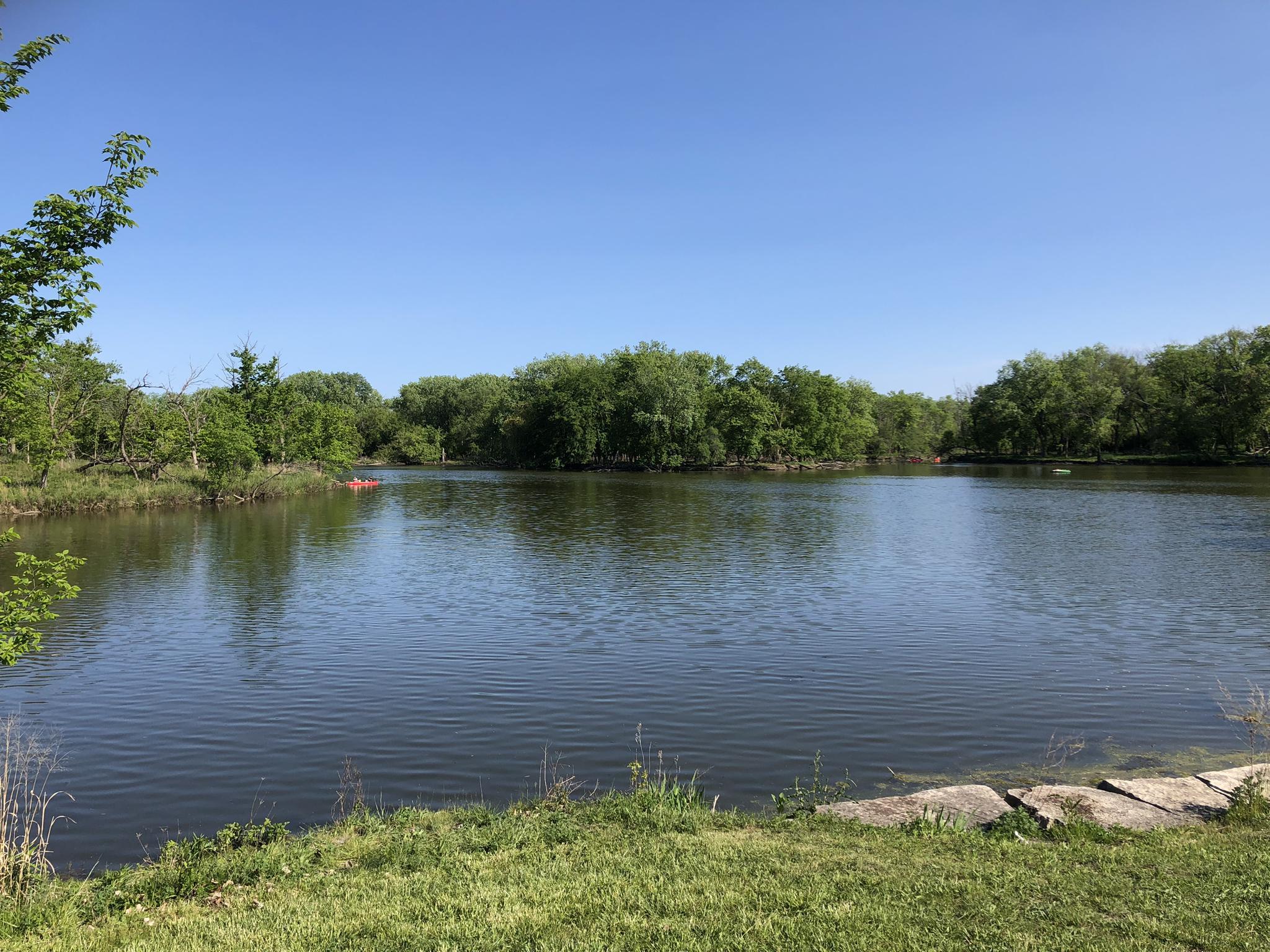 Calm lake surrounded by lush green trees under a bright blue sky.