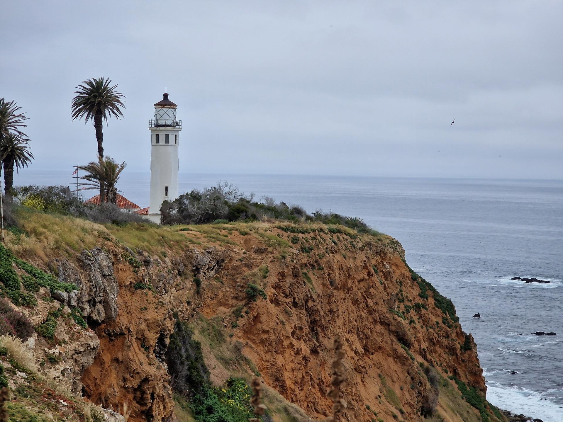 Lighthouse and palm trees on a rugged cliff by the ocean under cloudy skies.