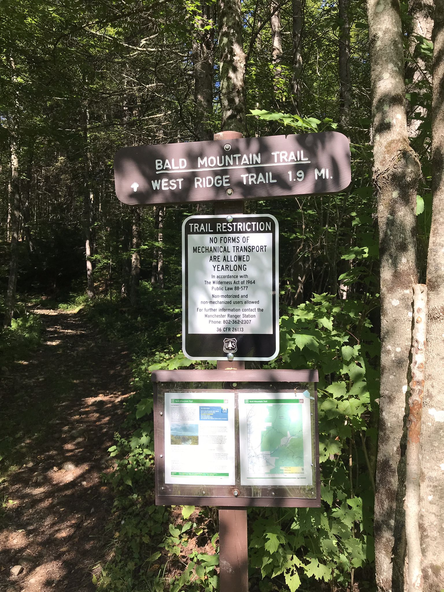 Trail signs and information board in a sunny, green forest. - Bald Mountain Trail