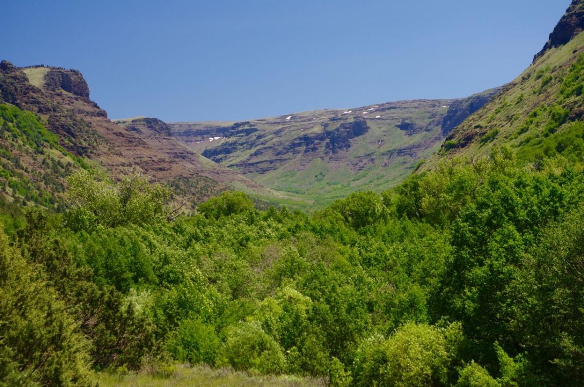 Lush green valley with steep, rocky mountains under a clear sky.