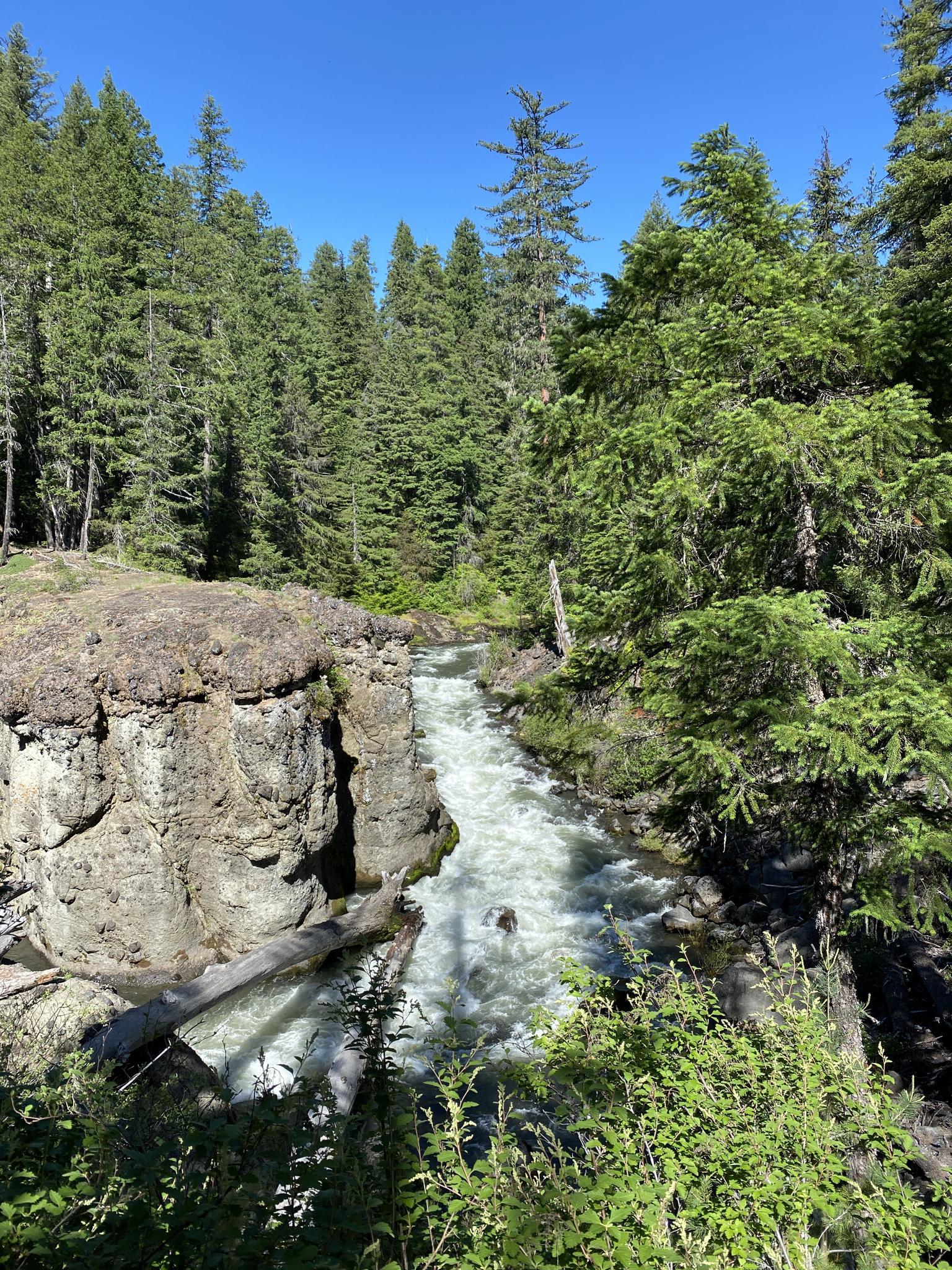 Fast-flowing river through a rocky gorge and dense forest under bright blue sky.