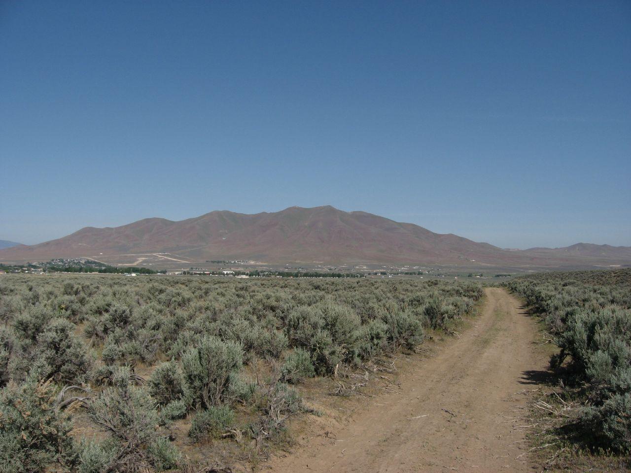 A dirt road through sagebrush leads towards distant mountains under a clear sky.