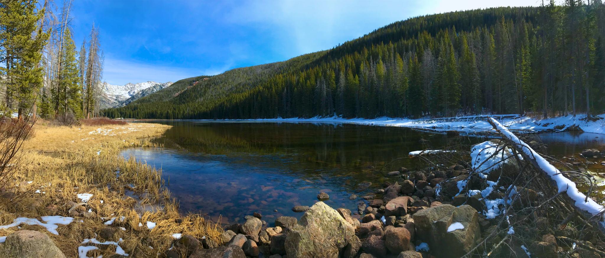 Clear lake with rocky shore, dry grass, pine forest, and distant snowy mountains under blue sky.