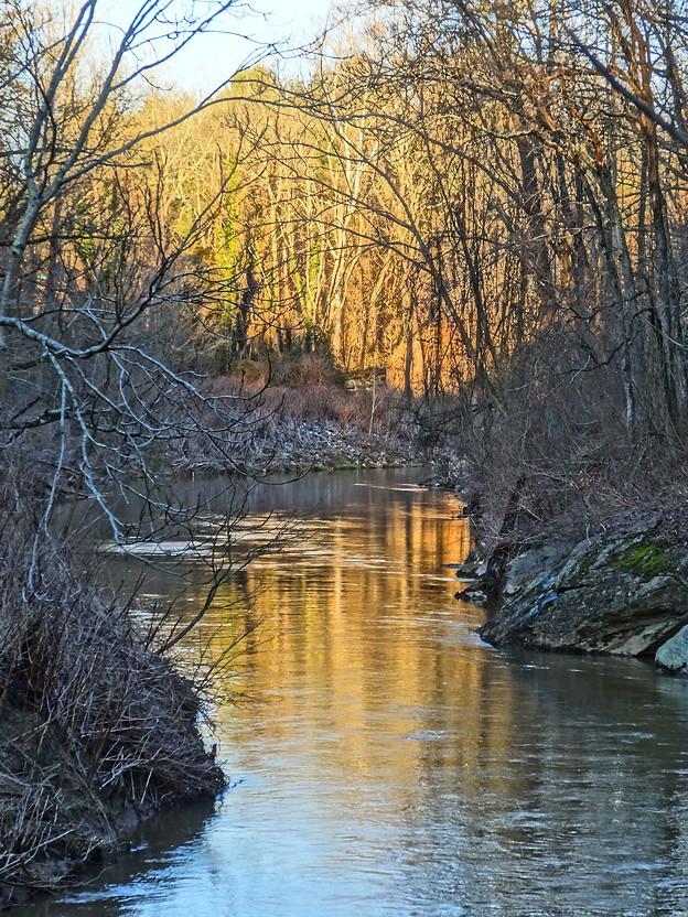 A winding river reflects golden sunlight through bare winter trees.