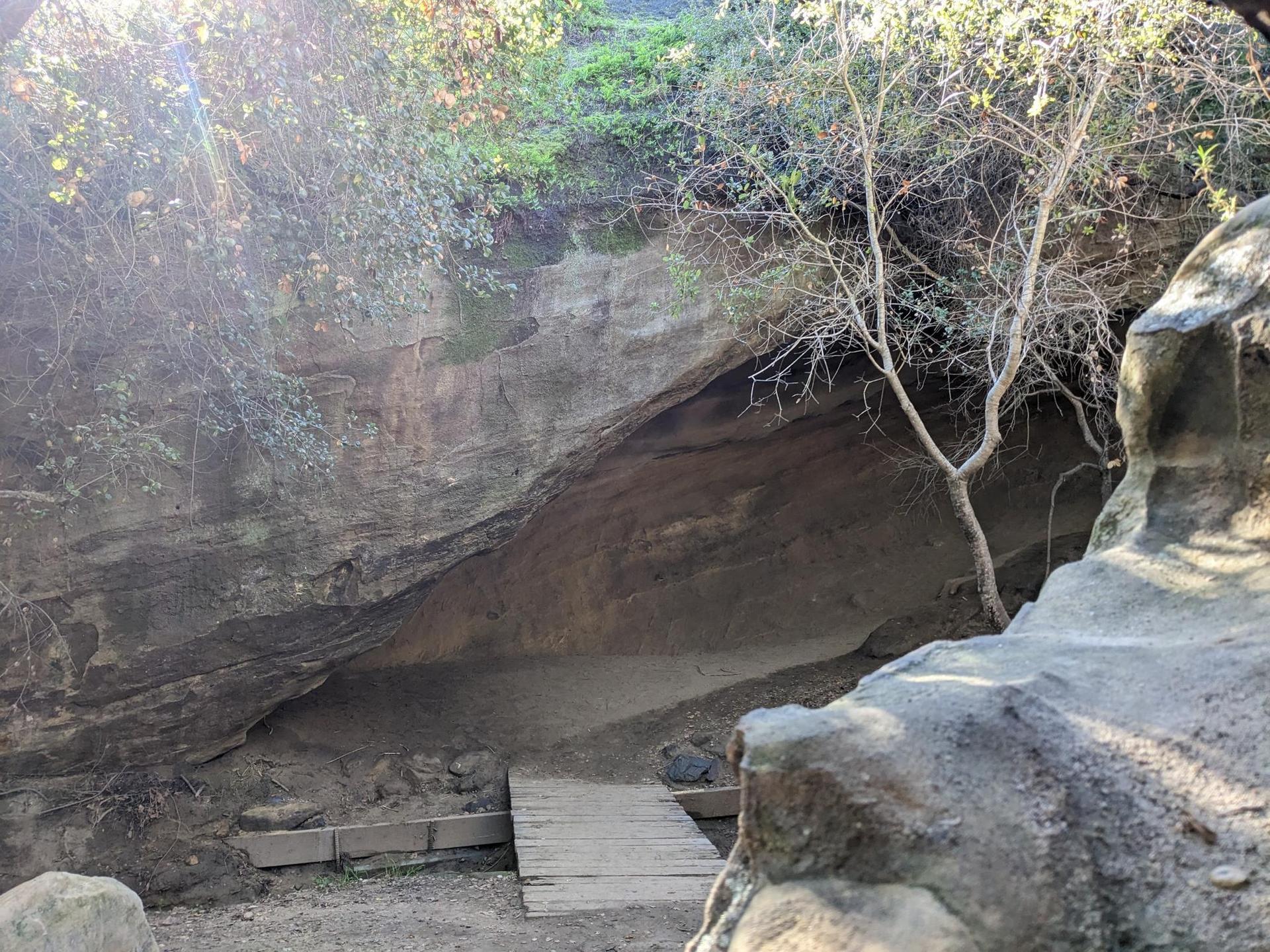 Sunlit rock overhang with a small wooden platform and sparse trees.