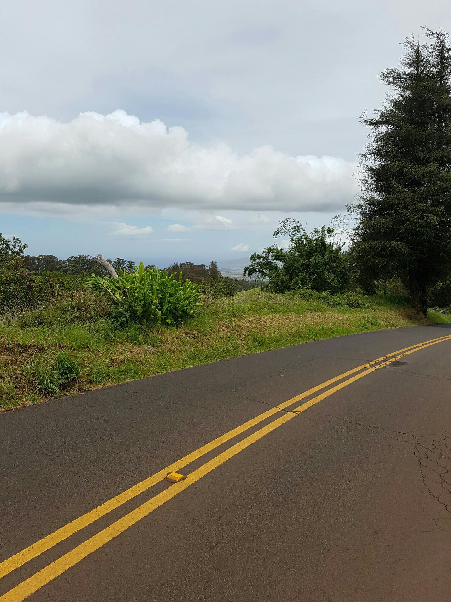 Paved road with double yellow lines, green foliage, and cloudy sky.