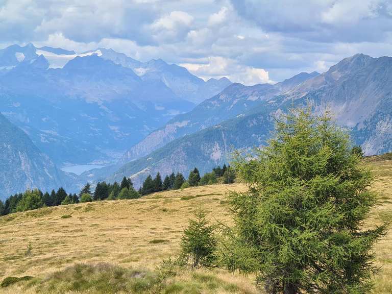 Monte Padrio da Trivigno – loop tour | hike | Komoot