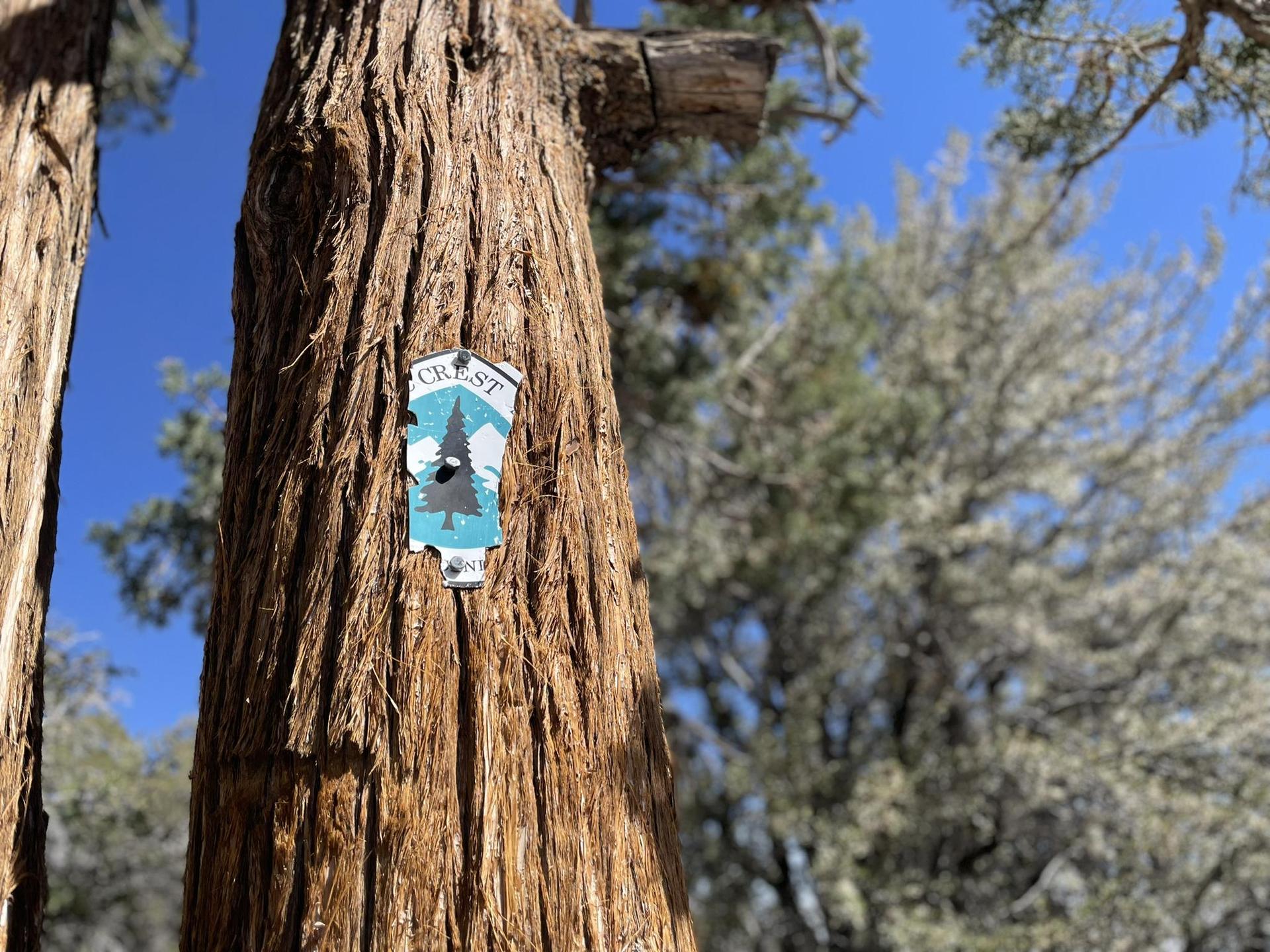 A blue and white sign is nailed to a textured tree trunk.