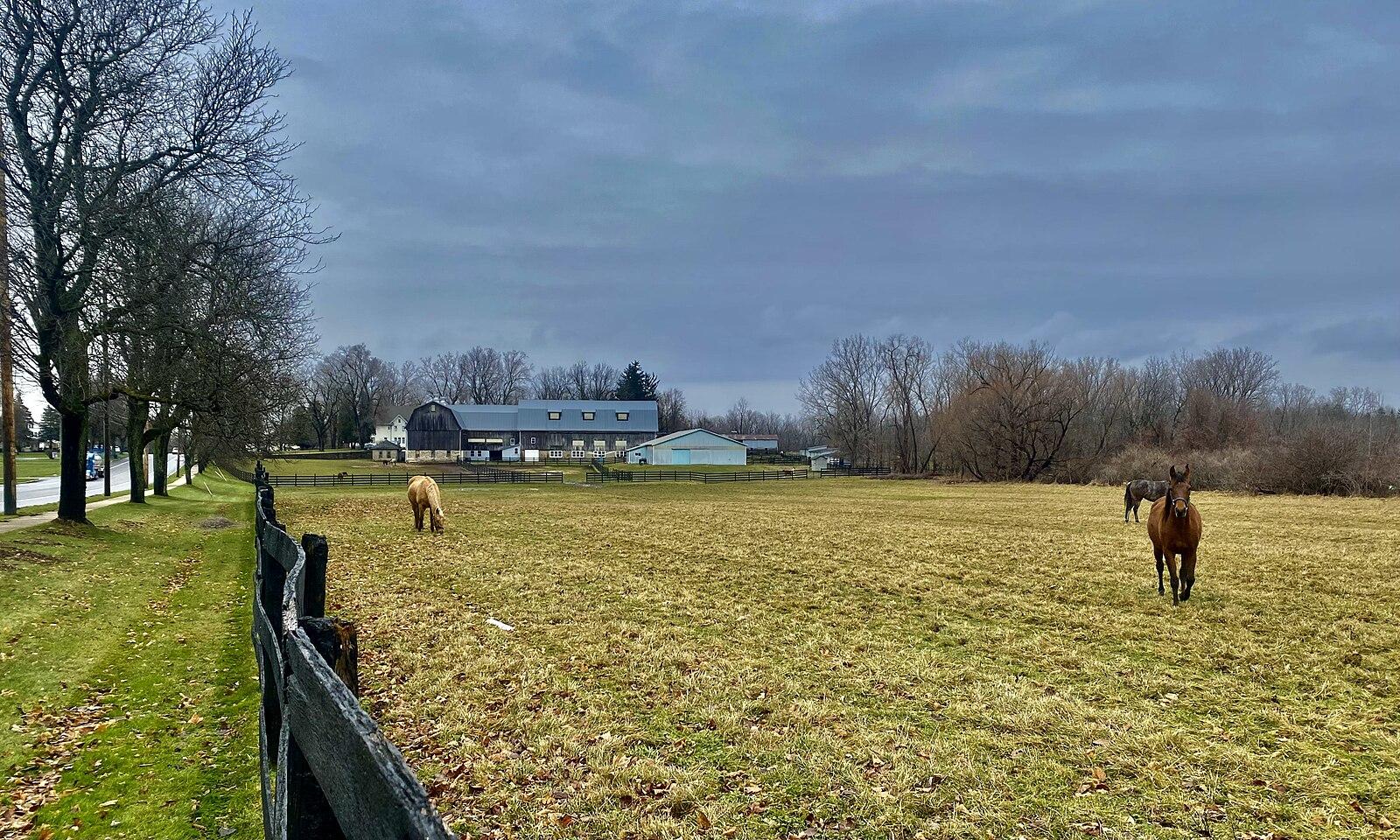 Two horses graze in a large grassy field with a barn in the distance.