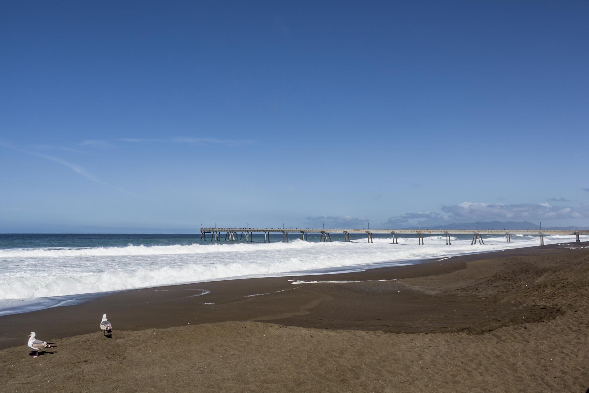 Sunny beach scene with crashing waves, distant pier, and two seagulls.