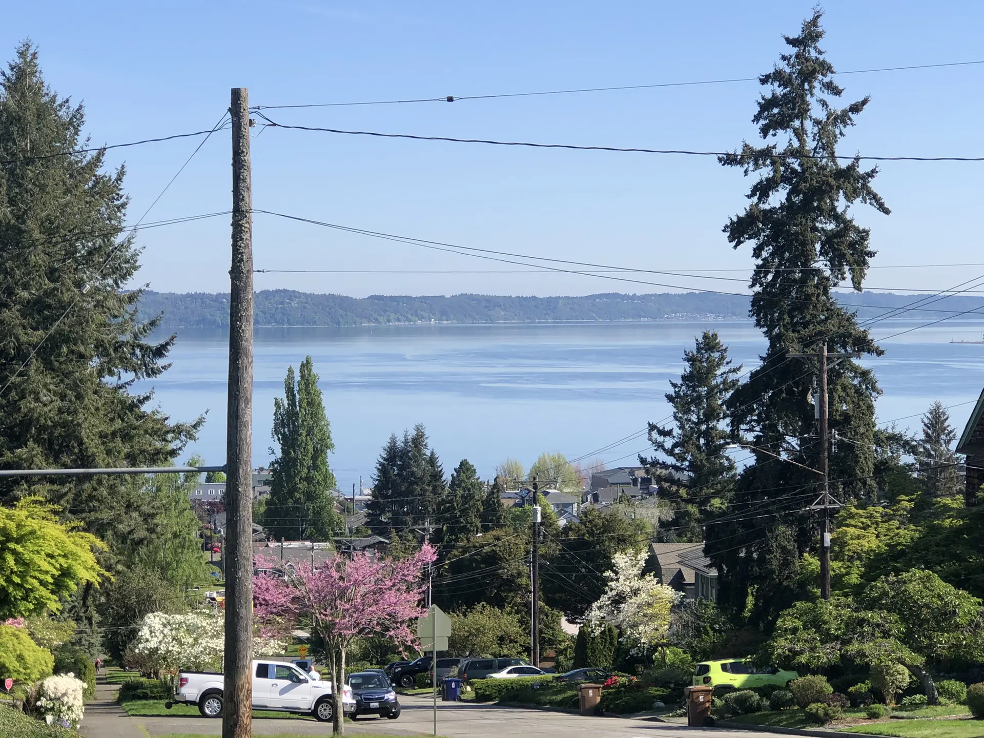 Sunny view of a large body of water, trees, and houses.